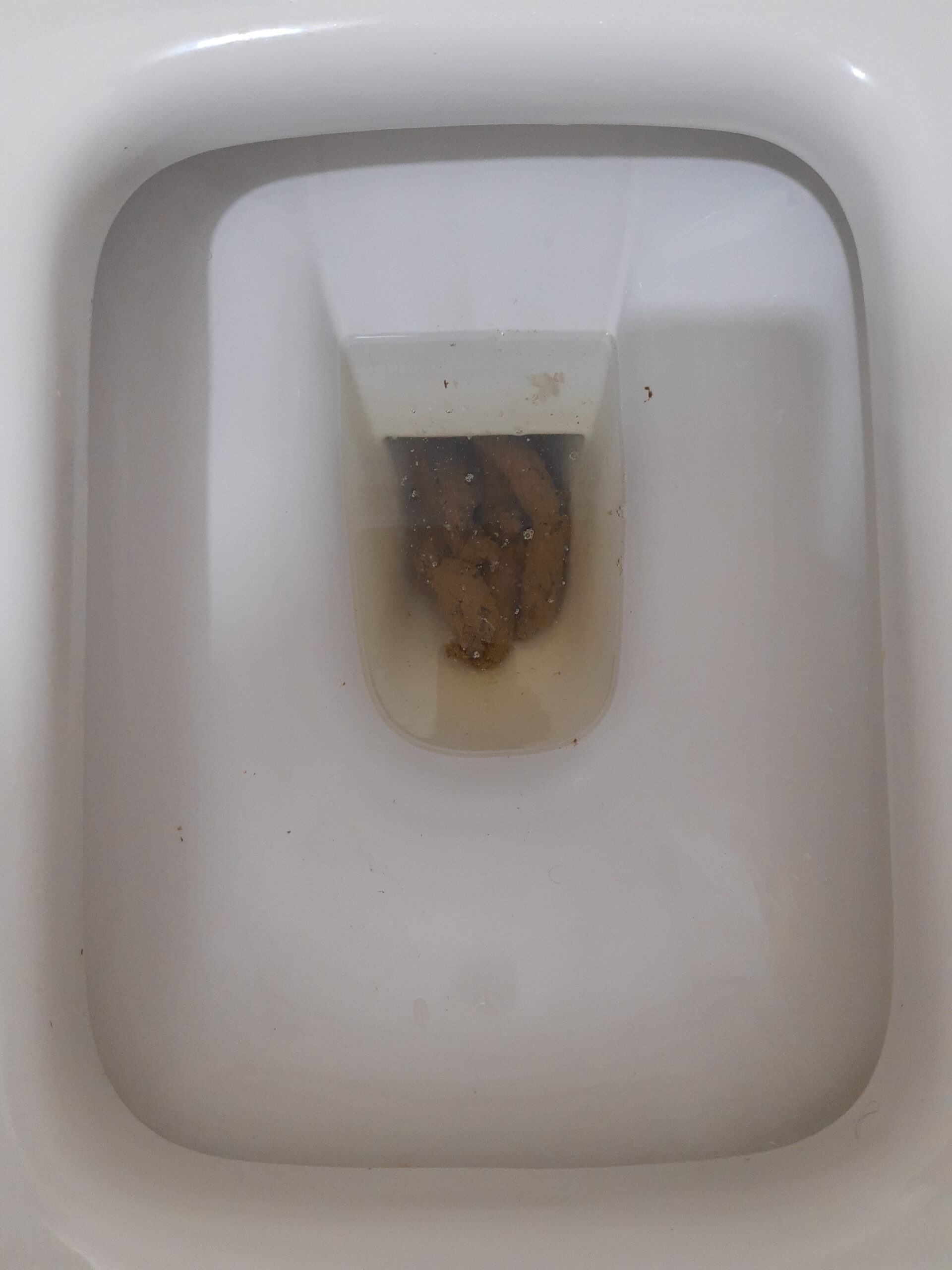 2021-12-30 / Double Trouble!