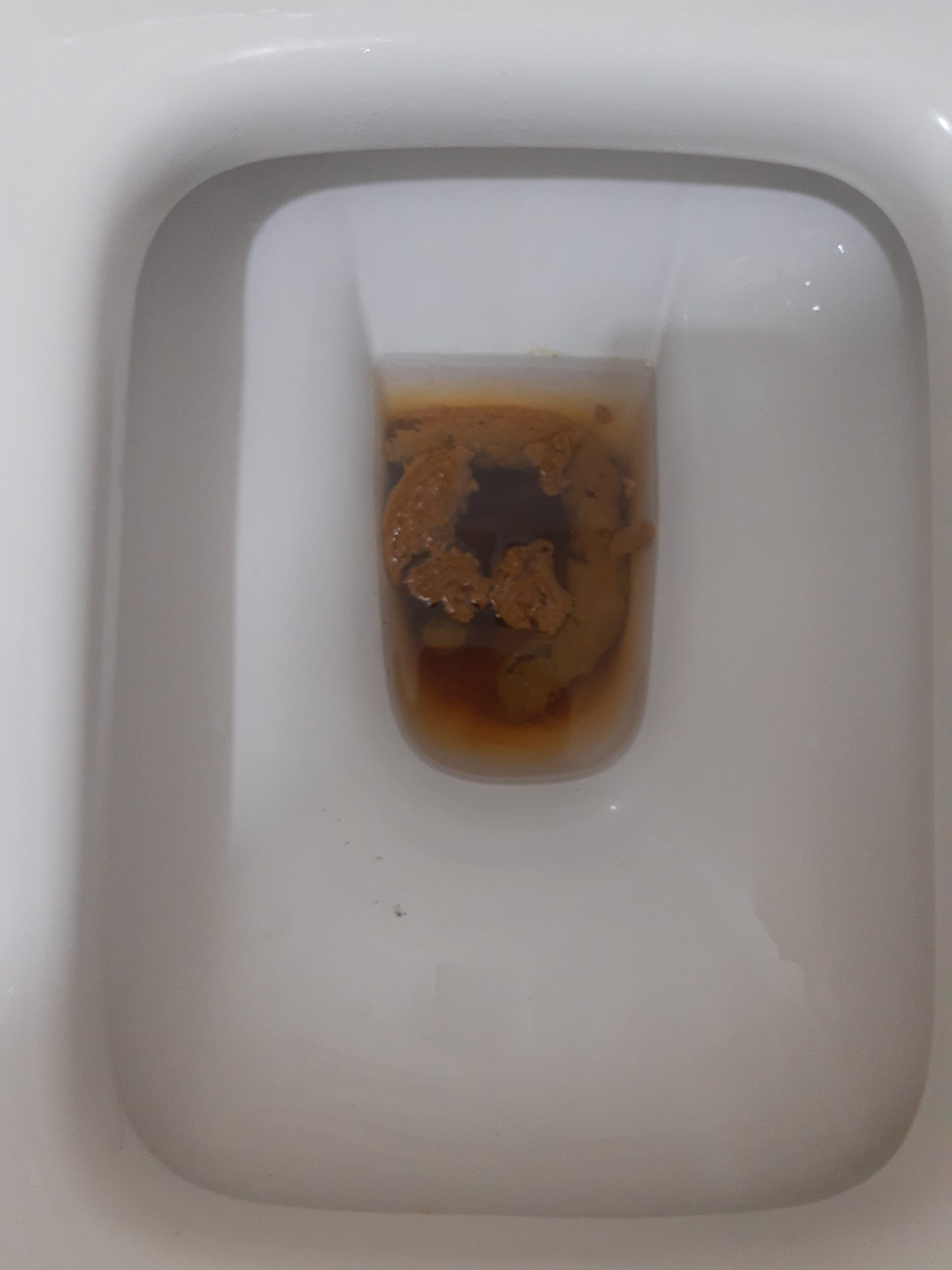 The First Shit of 2022! Happy New Year!!!