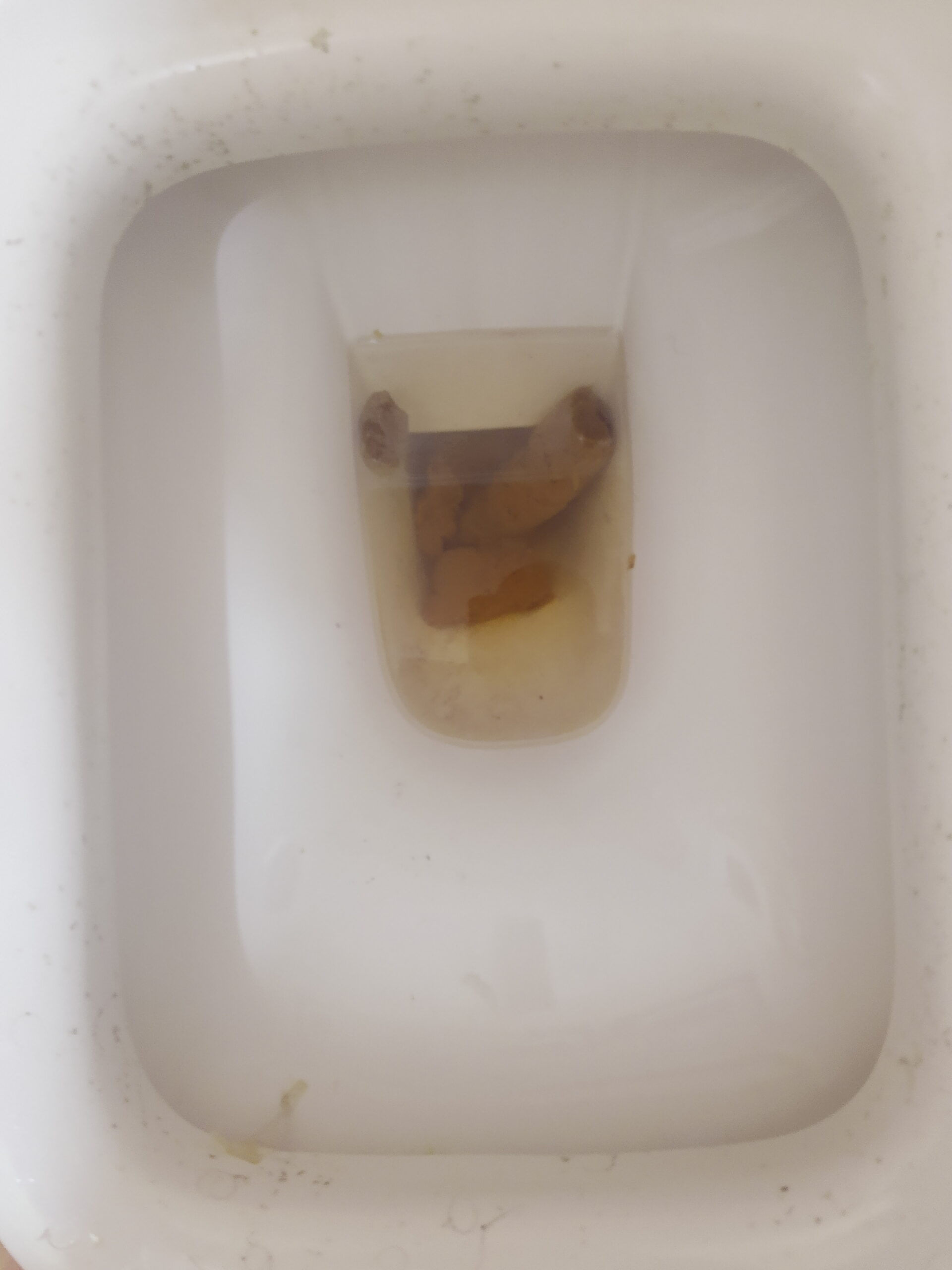 2022-01-14 | A Bristol 5 stool!