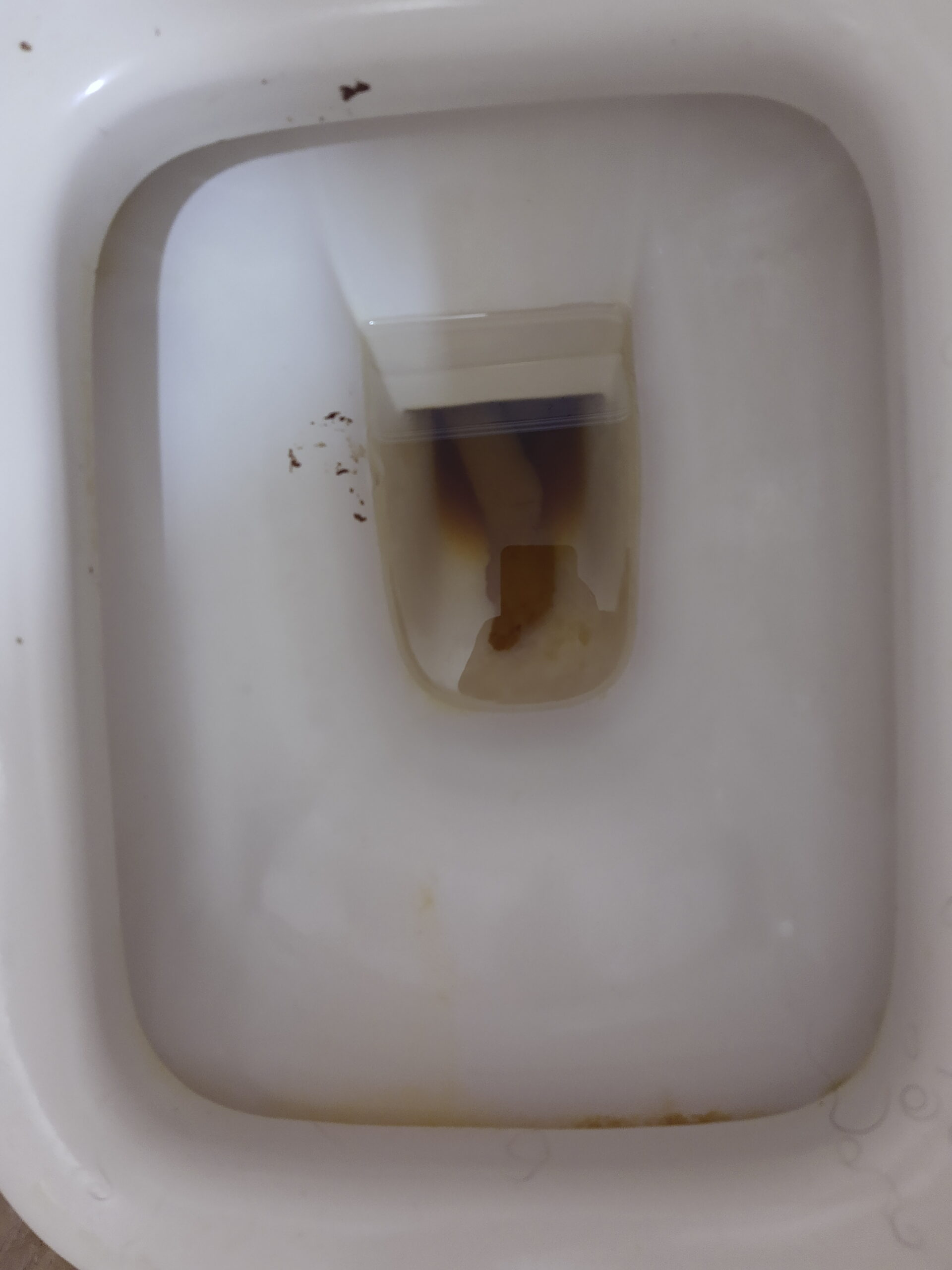 2022-01-25 | A Double Bristol 4 perfect poop day!