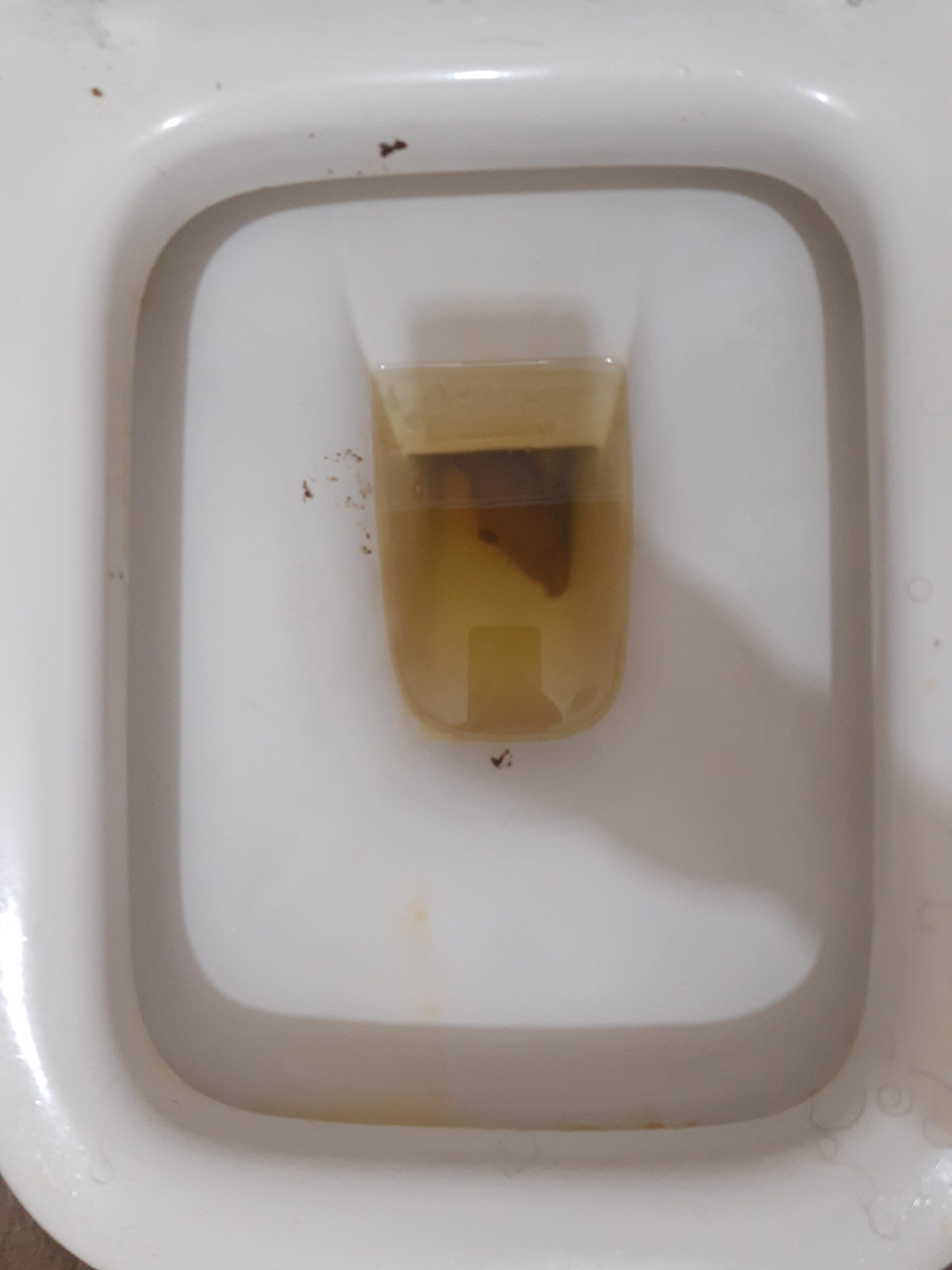 2022-01-26 | 2X Bristol 4 Double Combo Poop Spree!