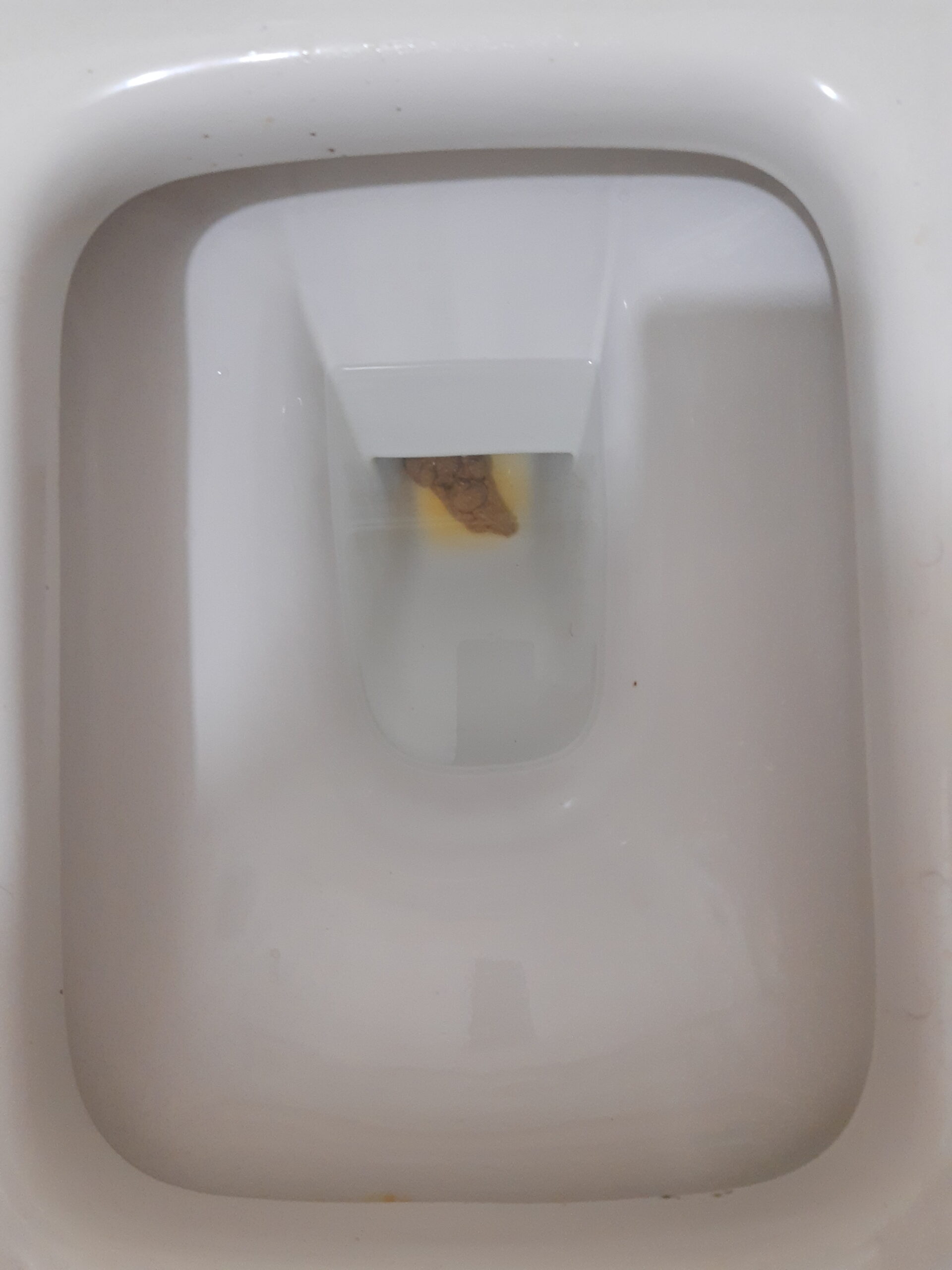 2022-01-29 | A Shy Bristol 2!