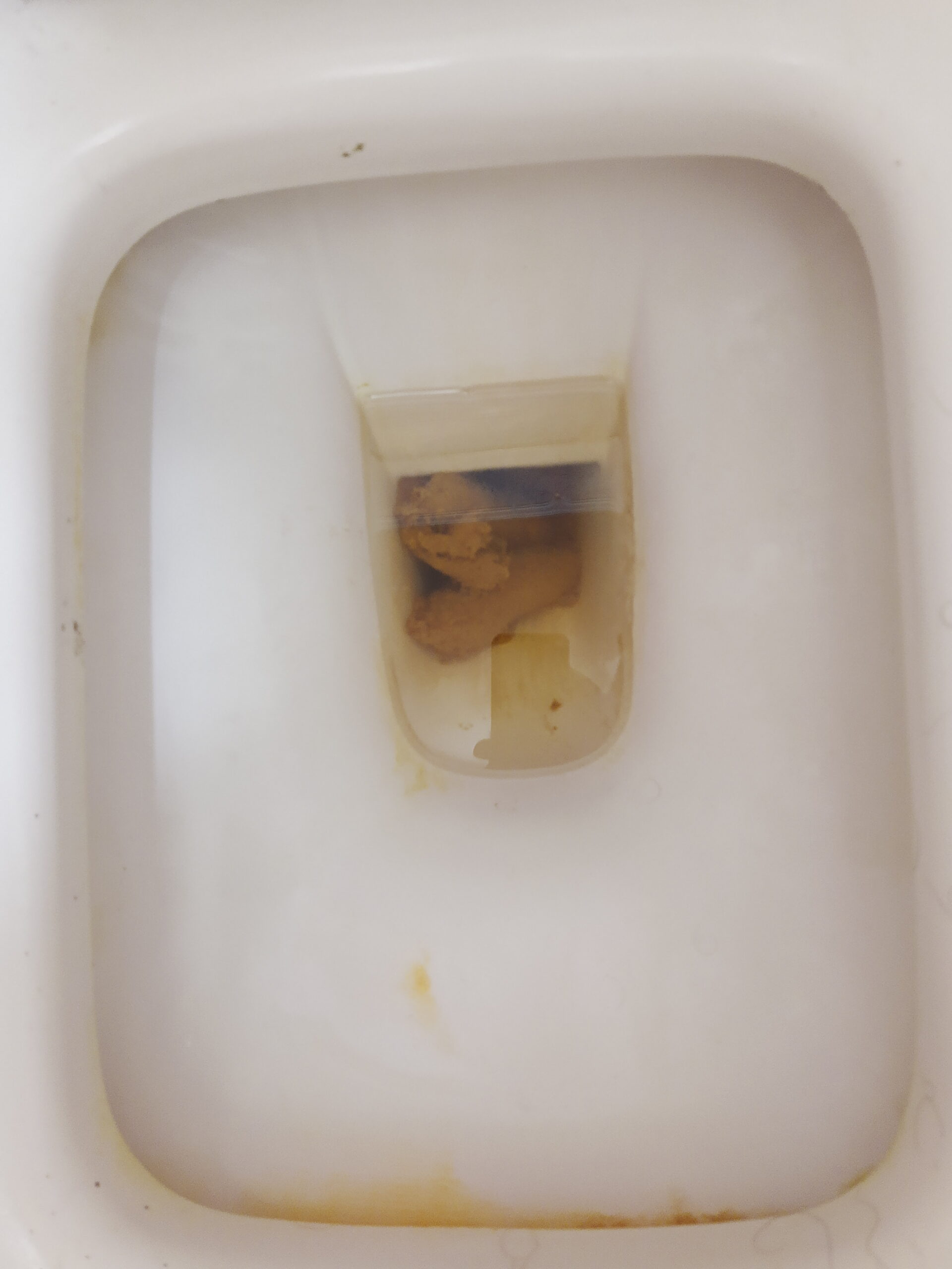 2022-02-02 | A “fecular” crap.