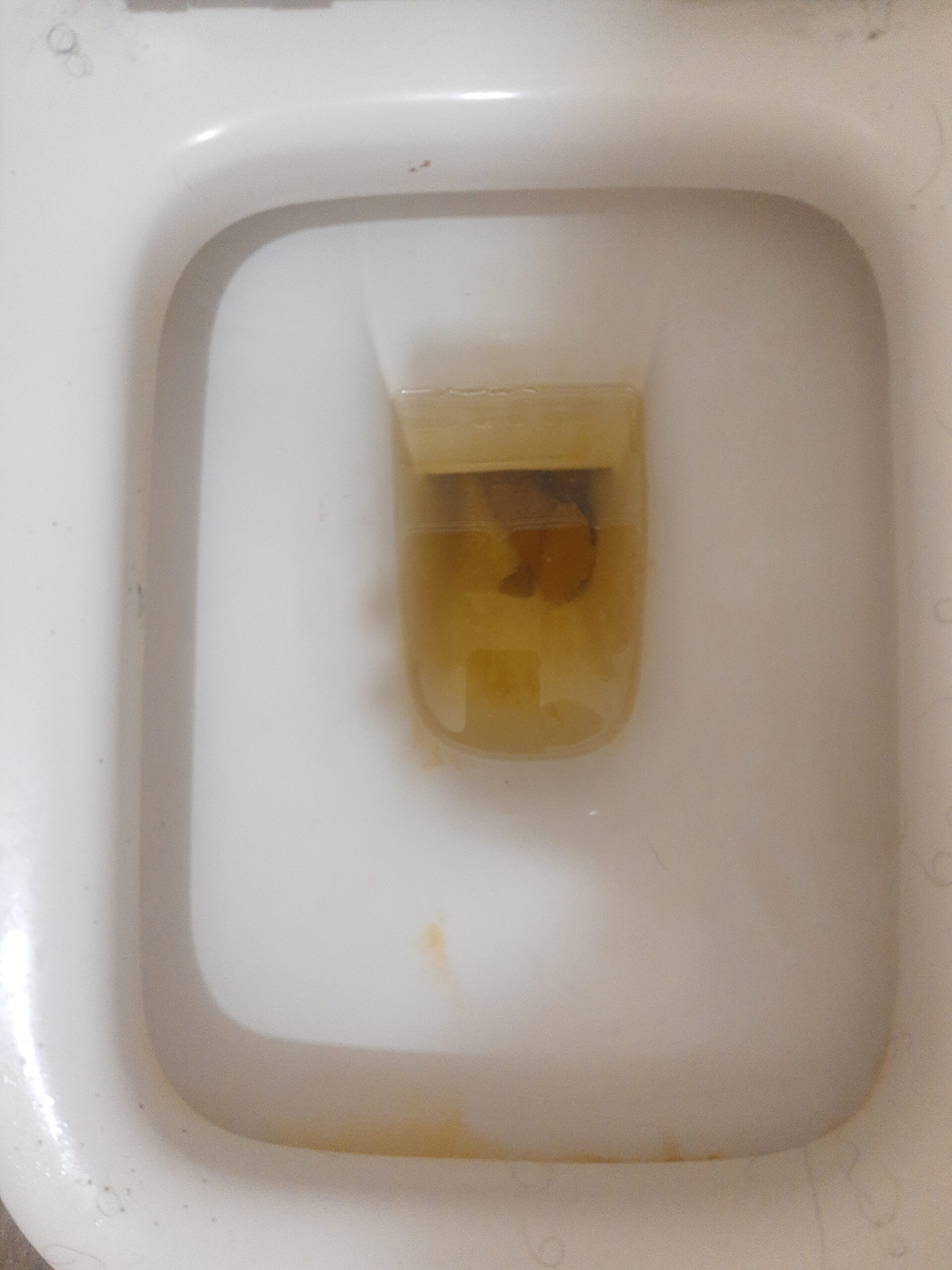 2022-02-03 | A Happy Double Day