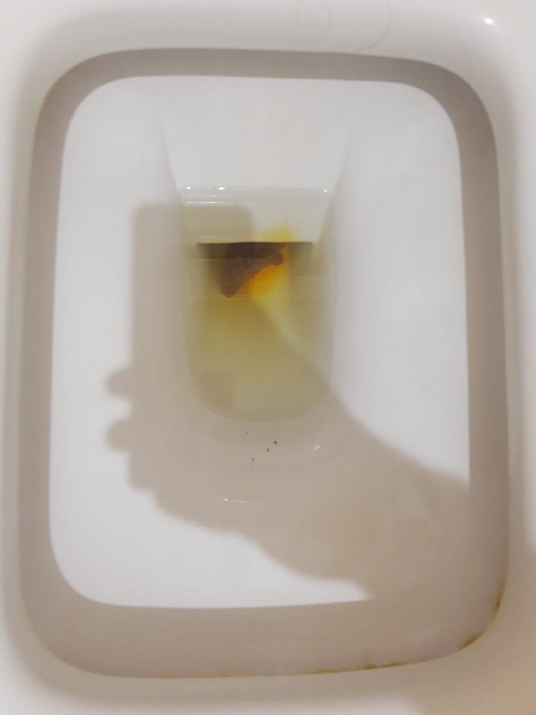 A Small Bristol 3 specimen