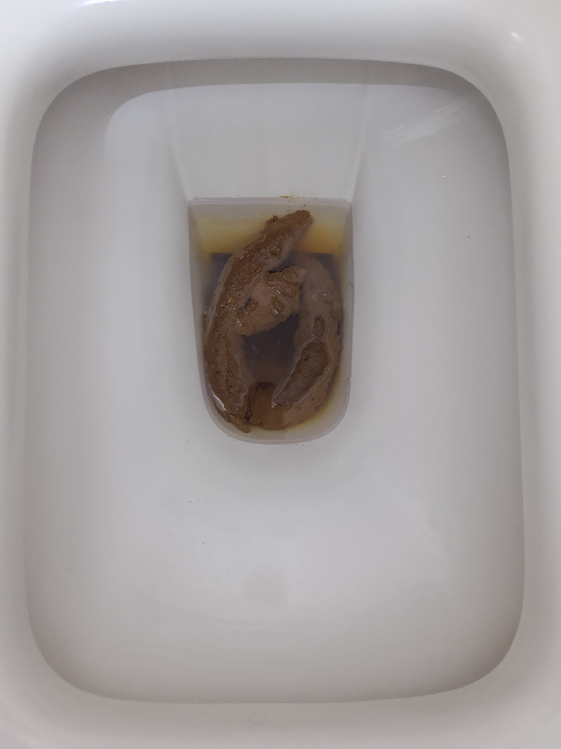 2022-03-01 | A Large Snake to start the month!