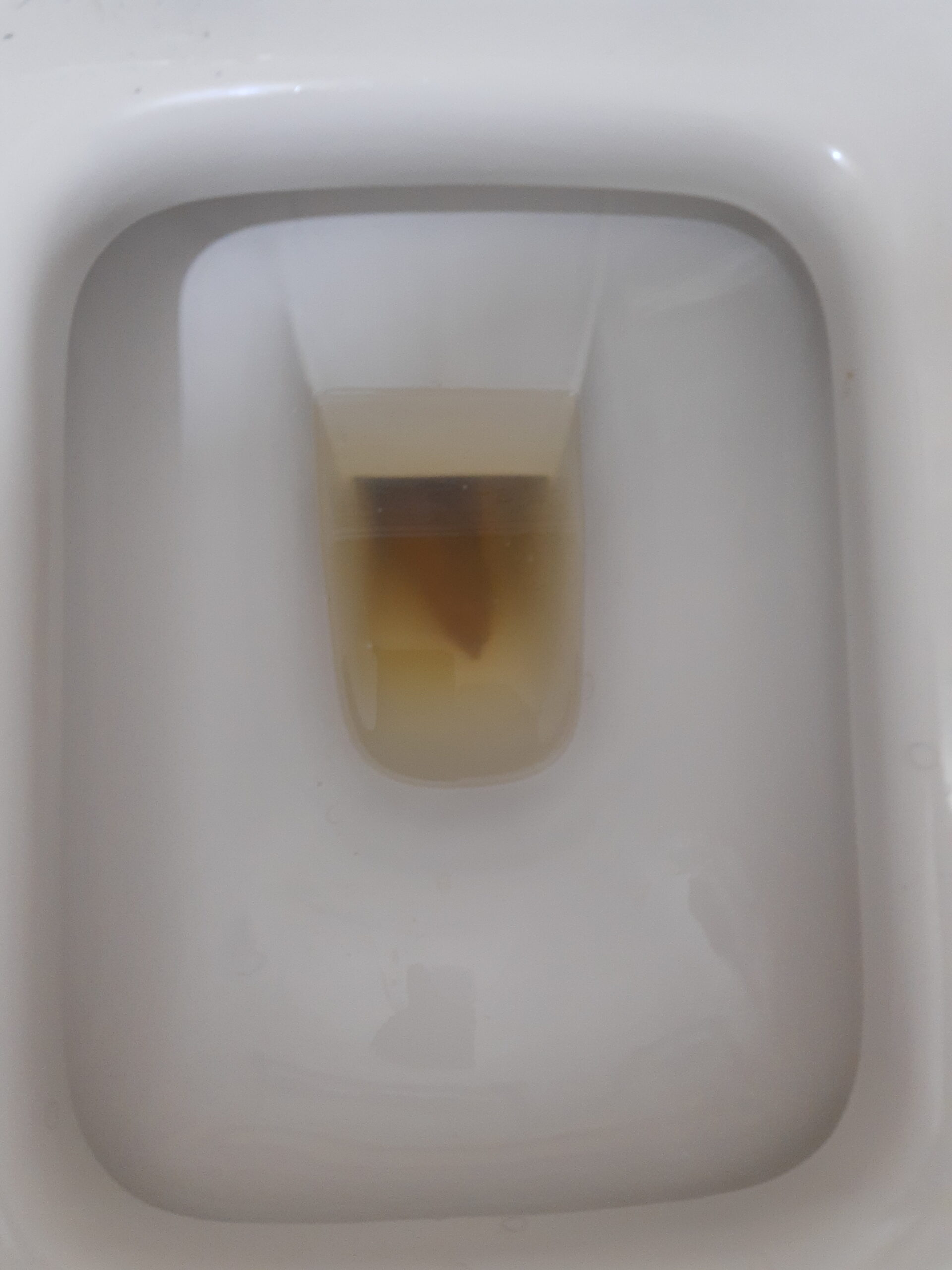 2022-03-07 | A Spear in the Swamp…