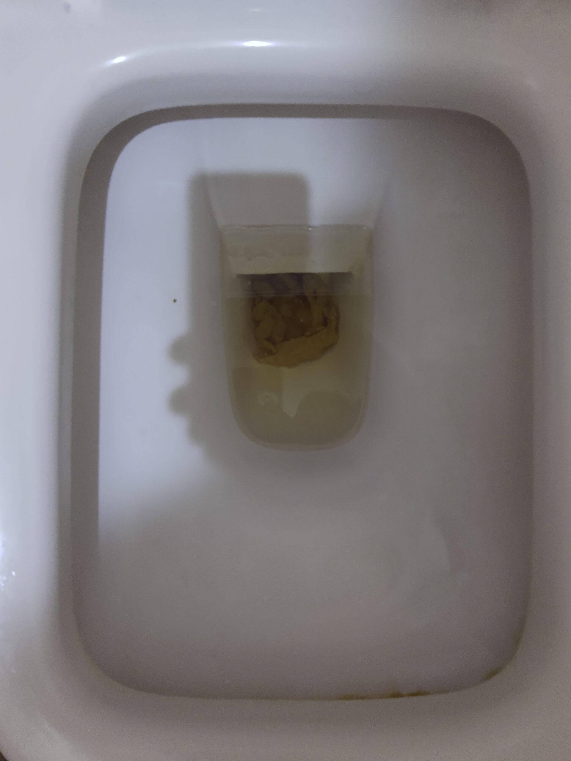 2022-03-09 | A Drop in Sepia