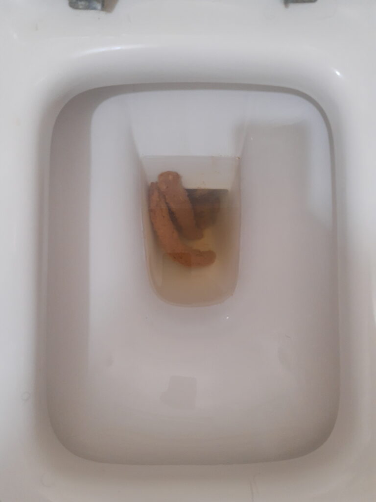 Skinny Twins Bristol 4