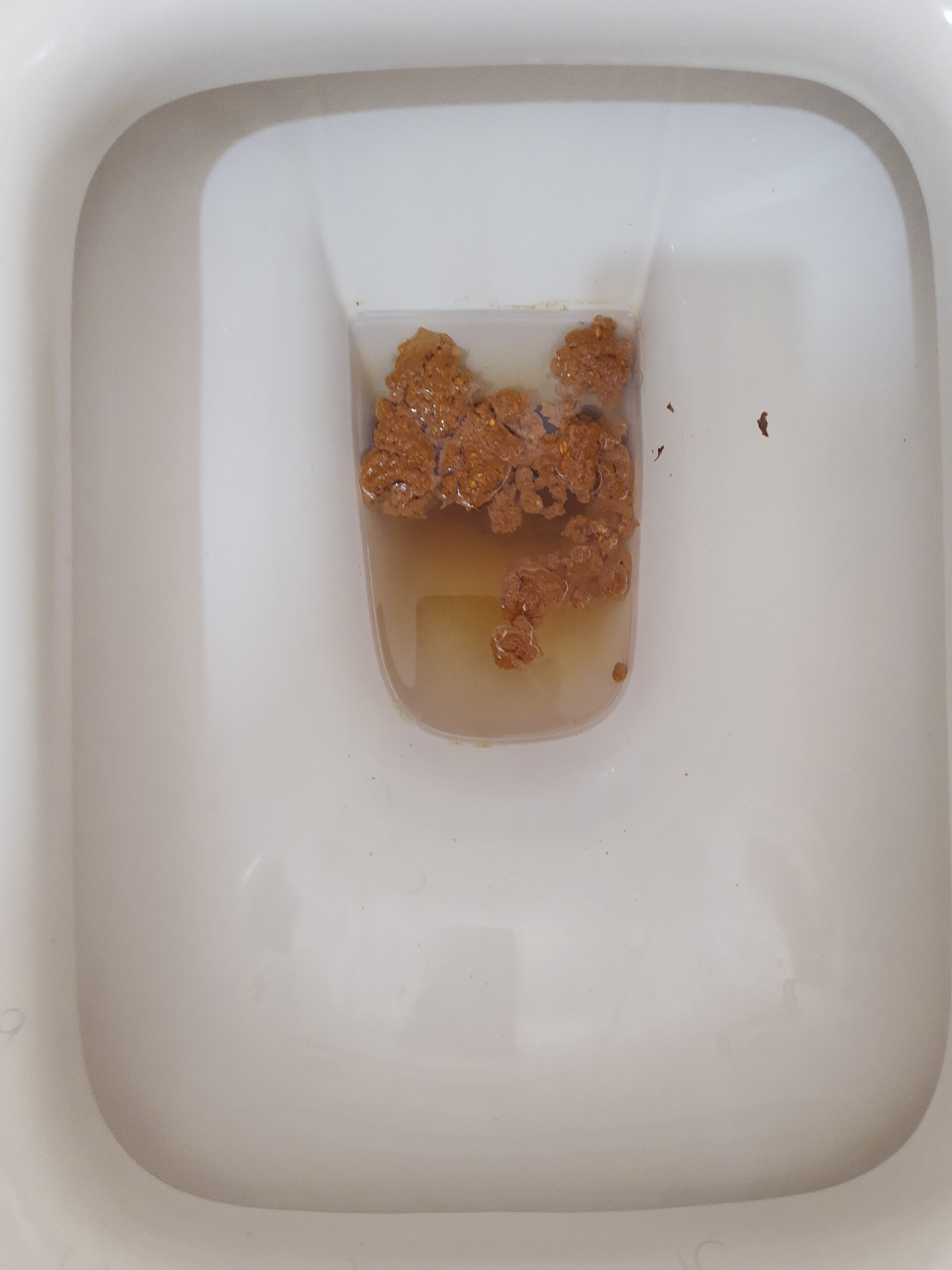 2022-03-12 | Not your average day…