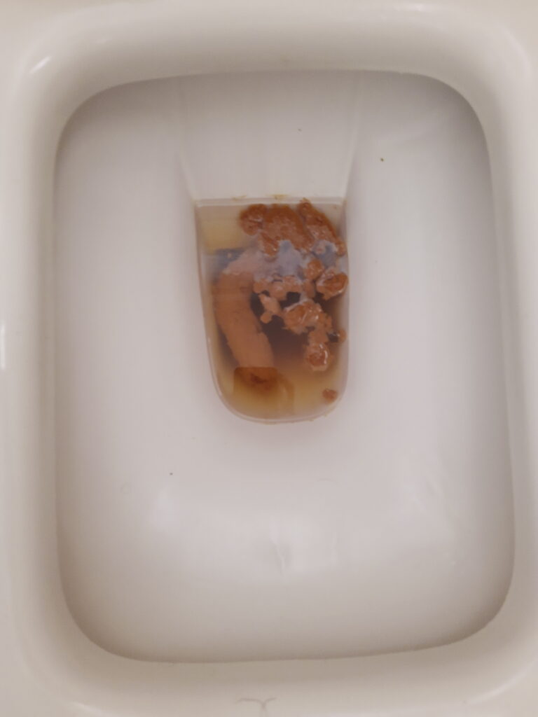 Bristol 3 and Bristol 6 in one sitting!