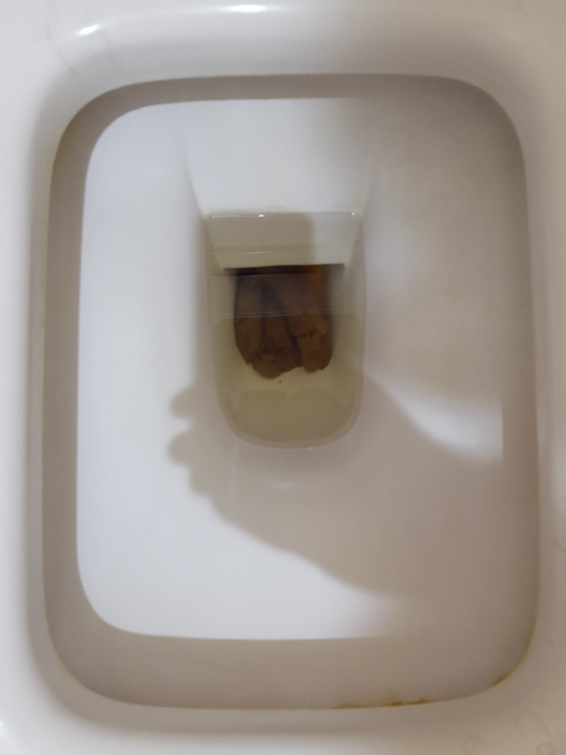 2022-03-17 | Another Double Fun Day!