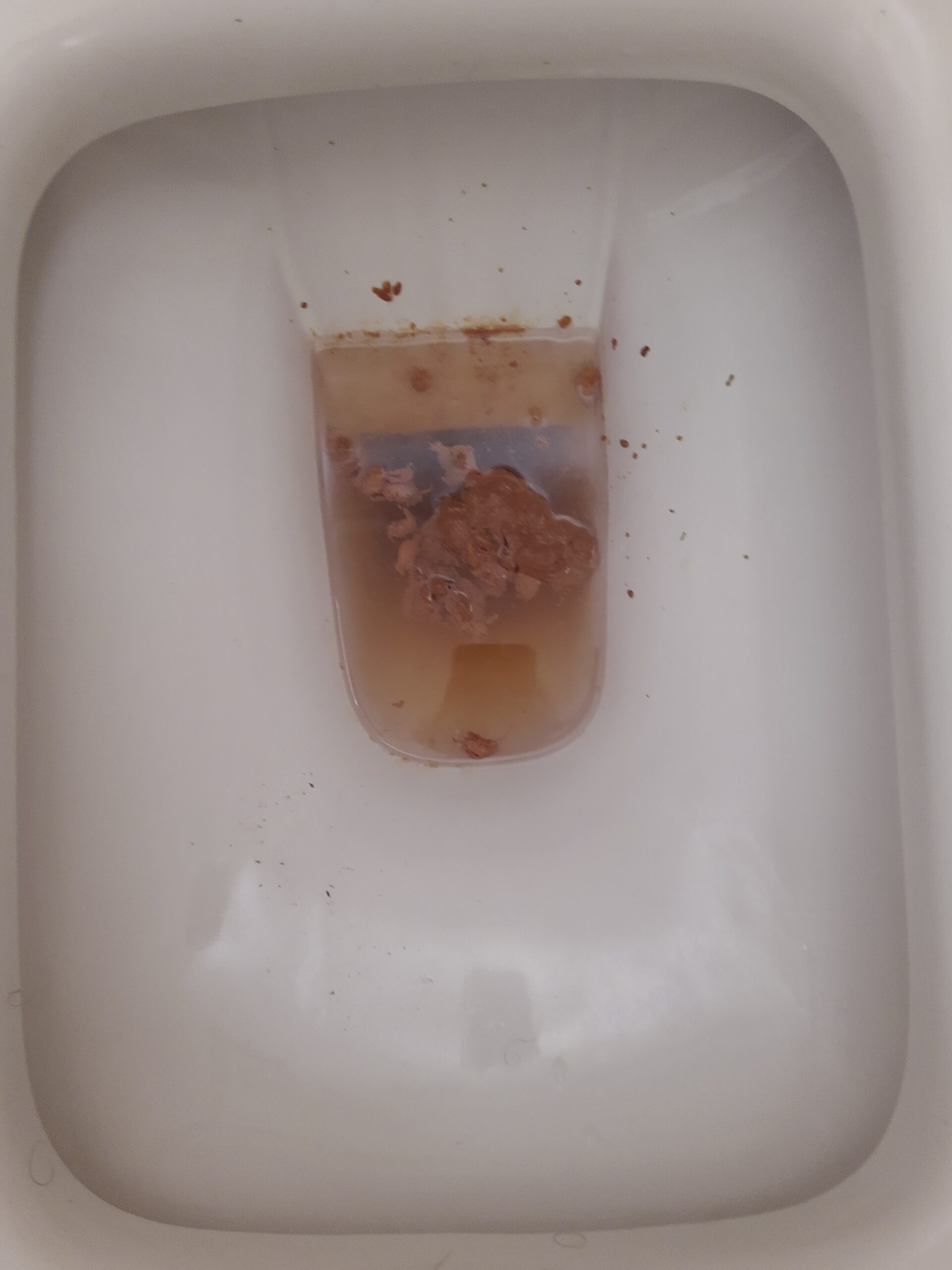 2022-03-24 | Multiple battles day!