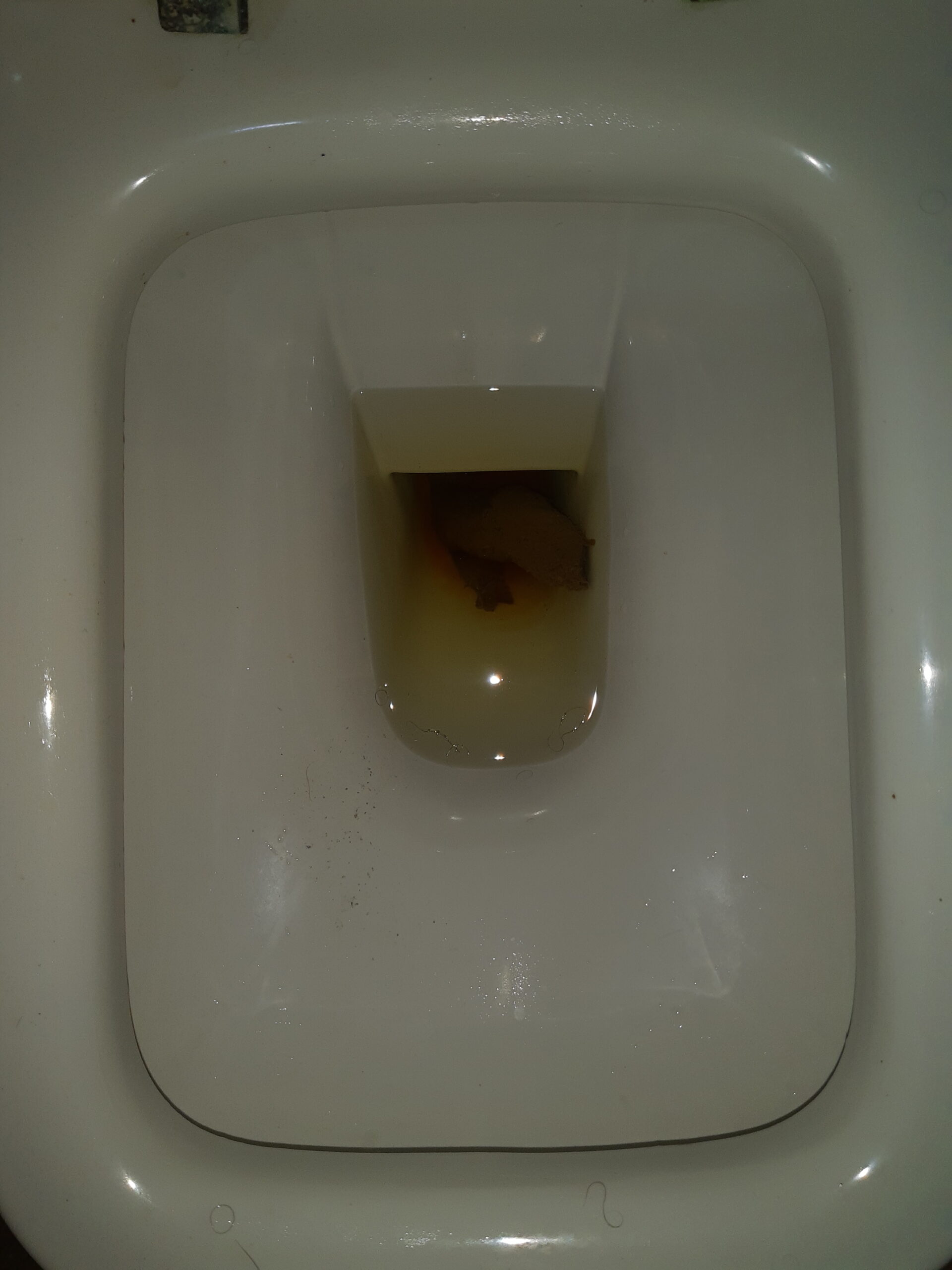 2022-03-28 | Eat your Fibers! Double Bristol 4!