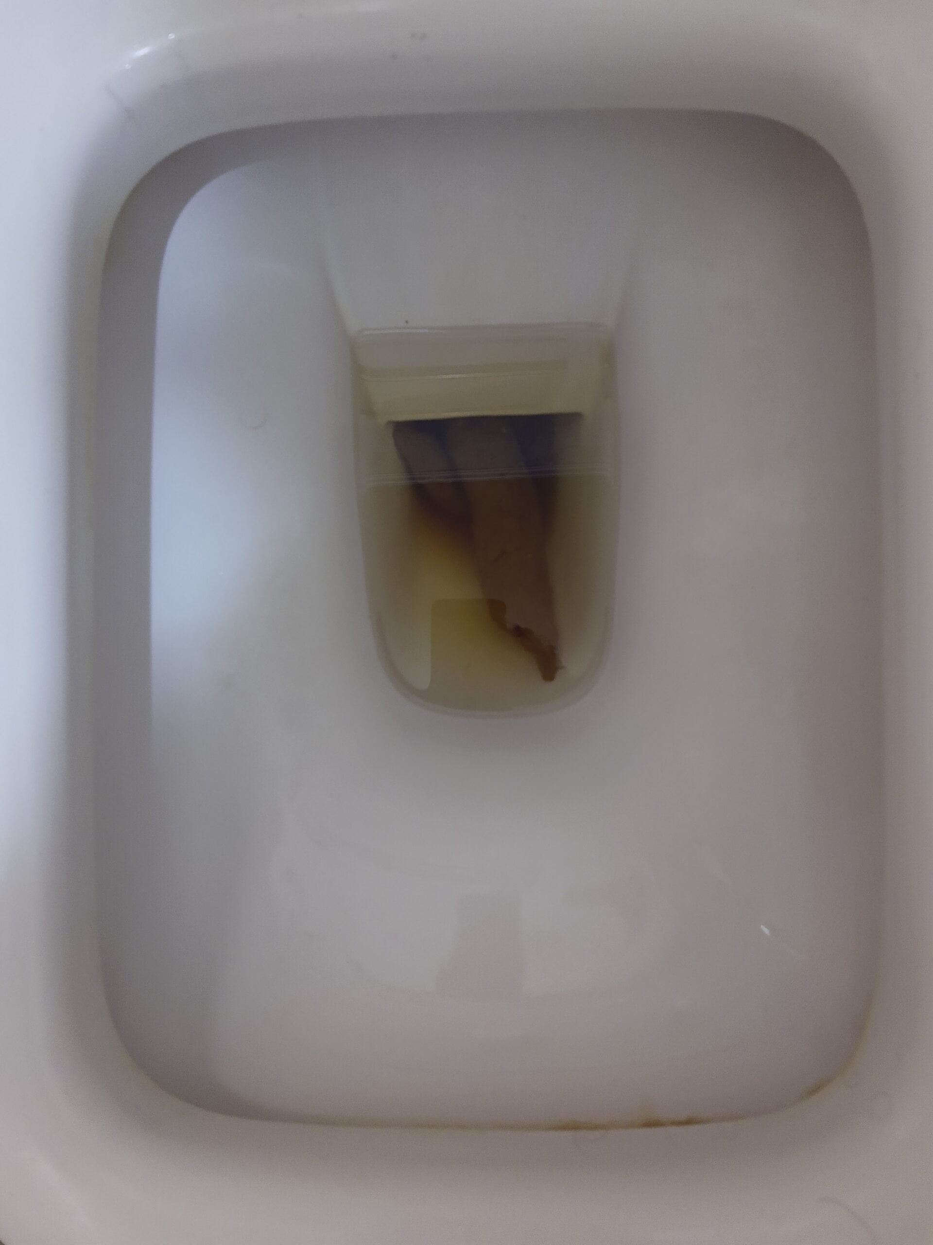 2022-03-30 | A Dark Spear!