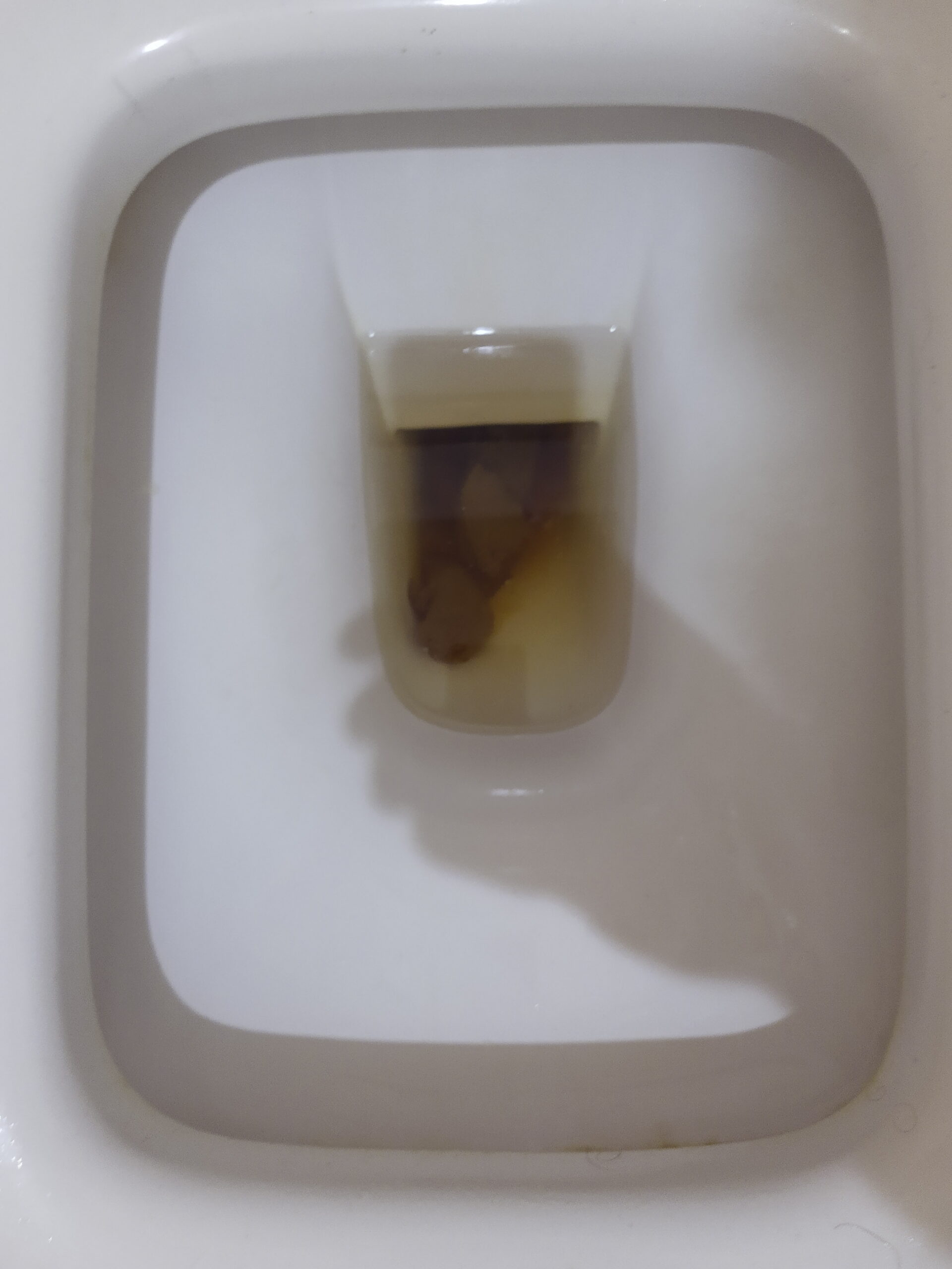 2022-03-31 | Twice a day!