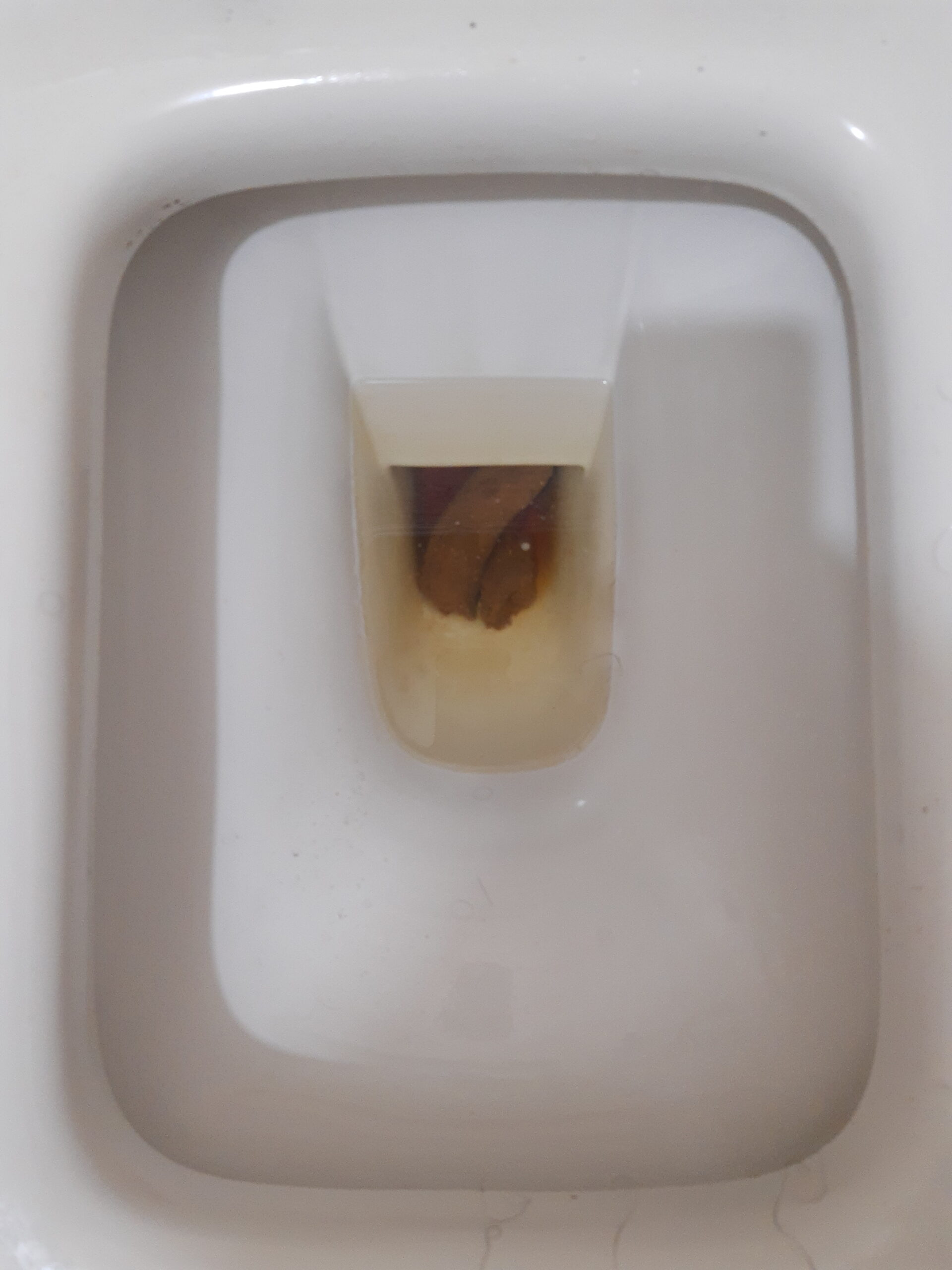 2022-04-02 | Double Bristol 4 Poop Day!