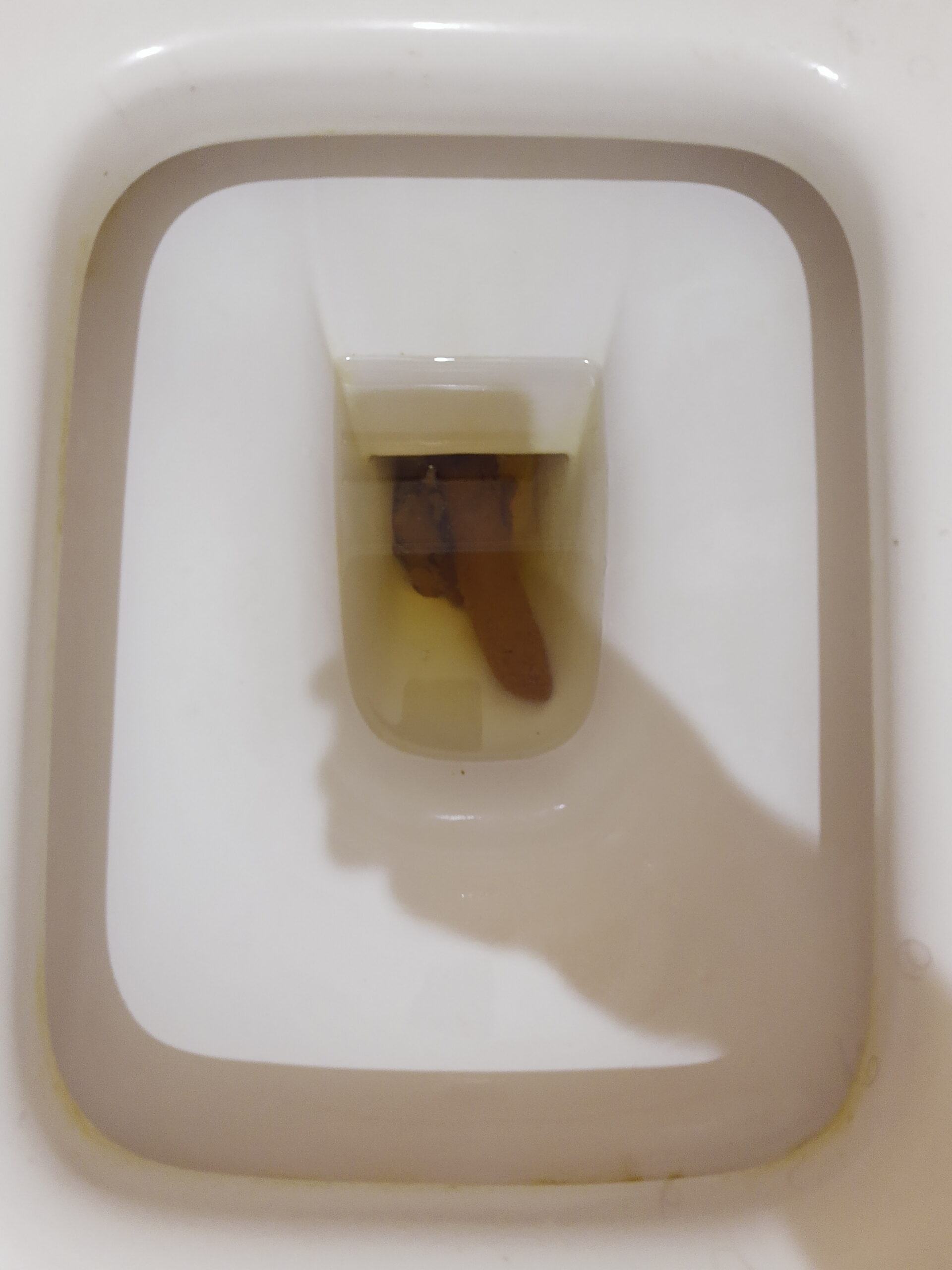 2022-04-07 | Bristol 3 and 4 ready to flush!