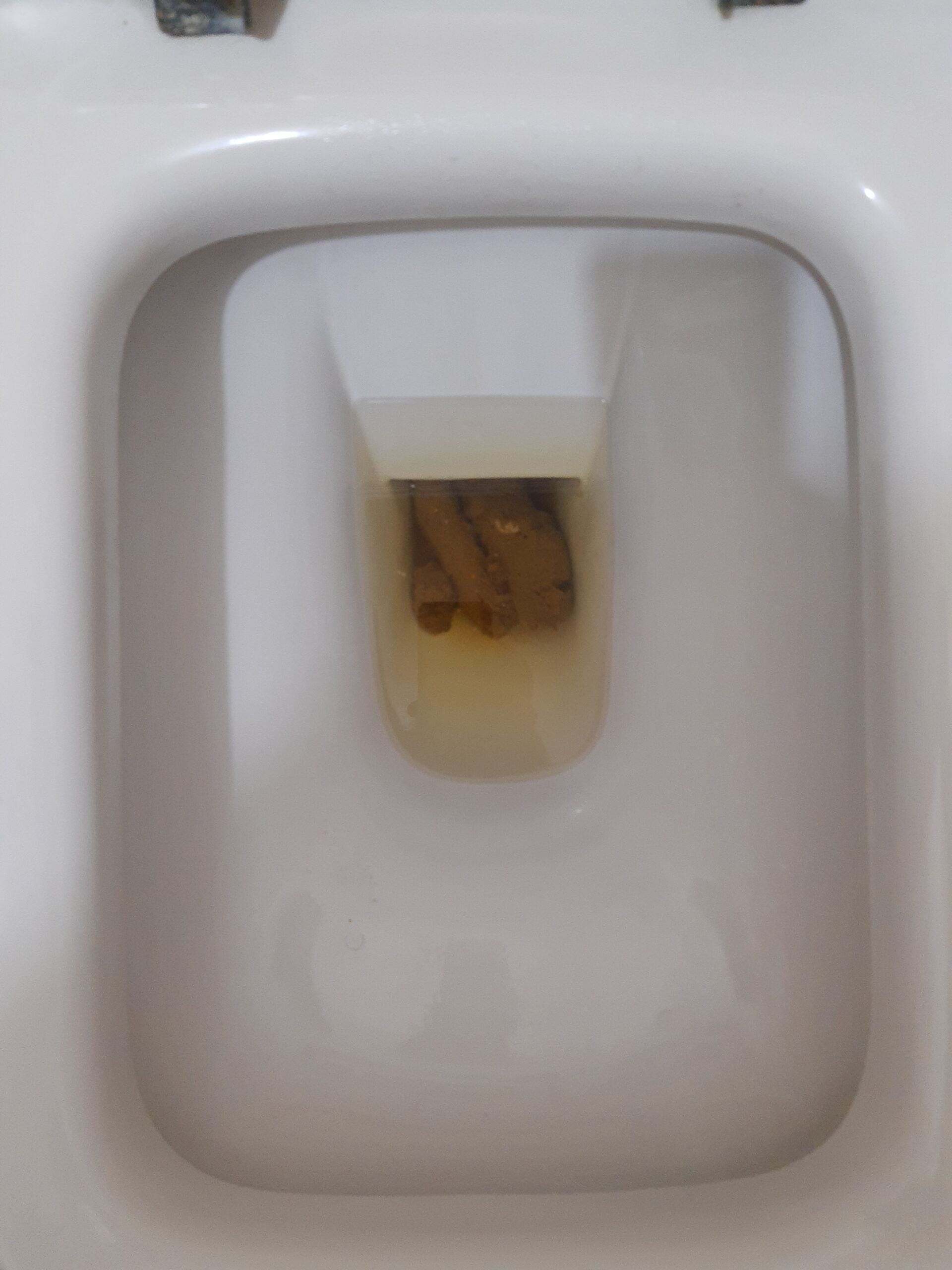 2022-04-08 | Bristol 4 day!