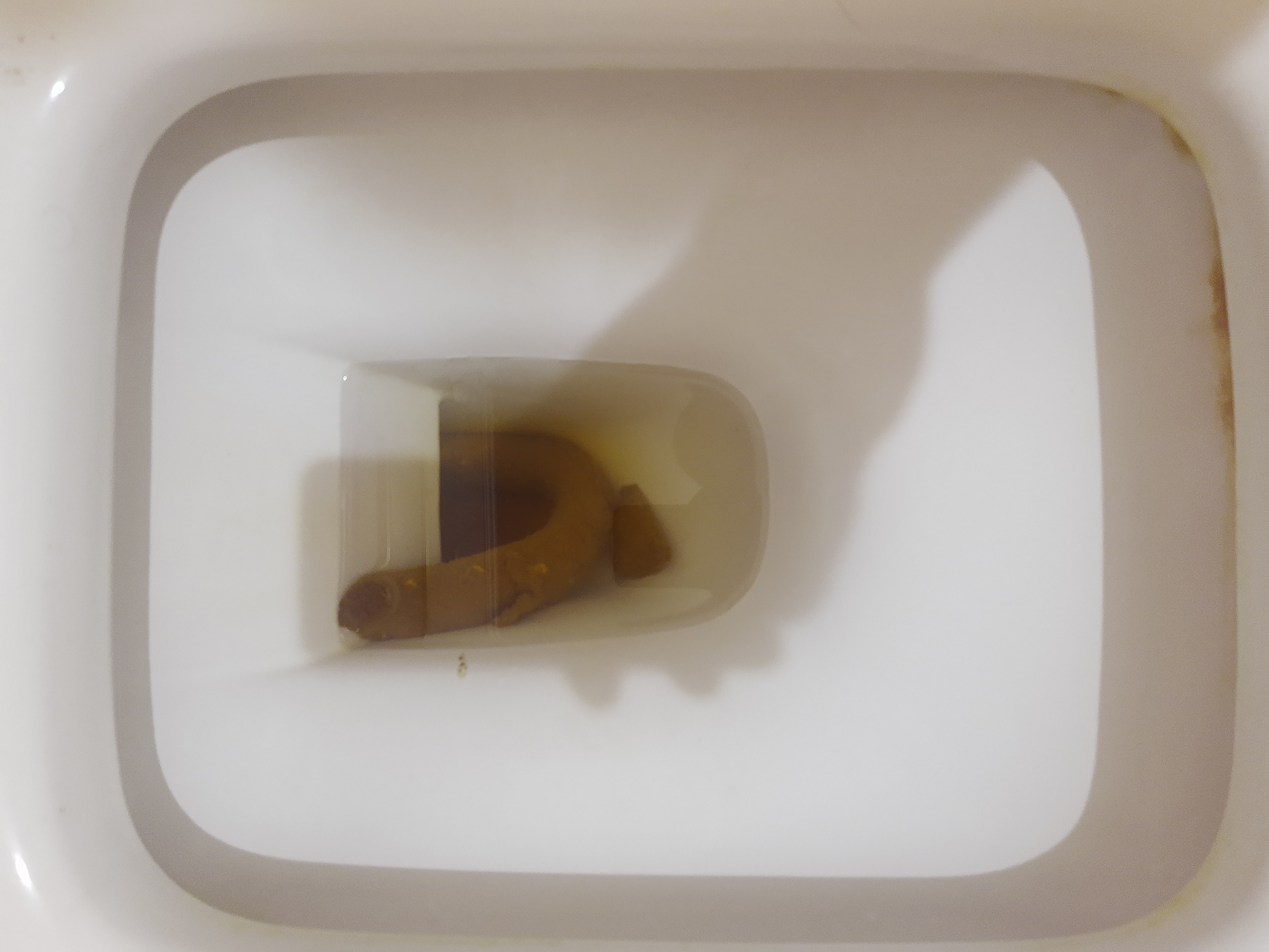 2022-04-10 | Double Poop Day!