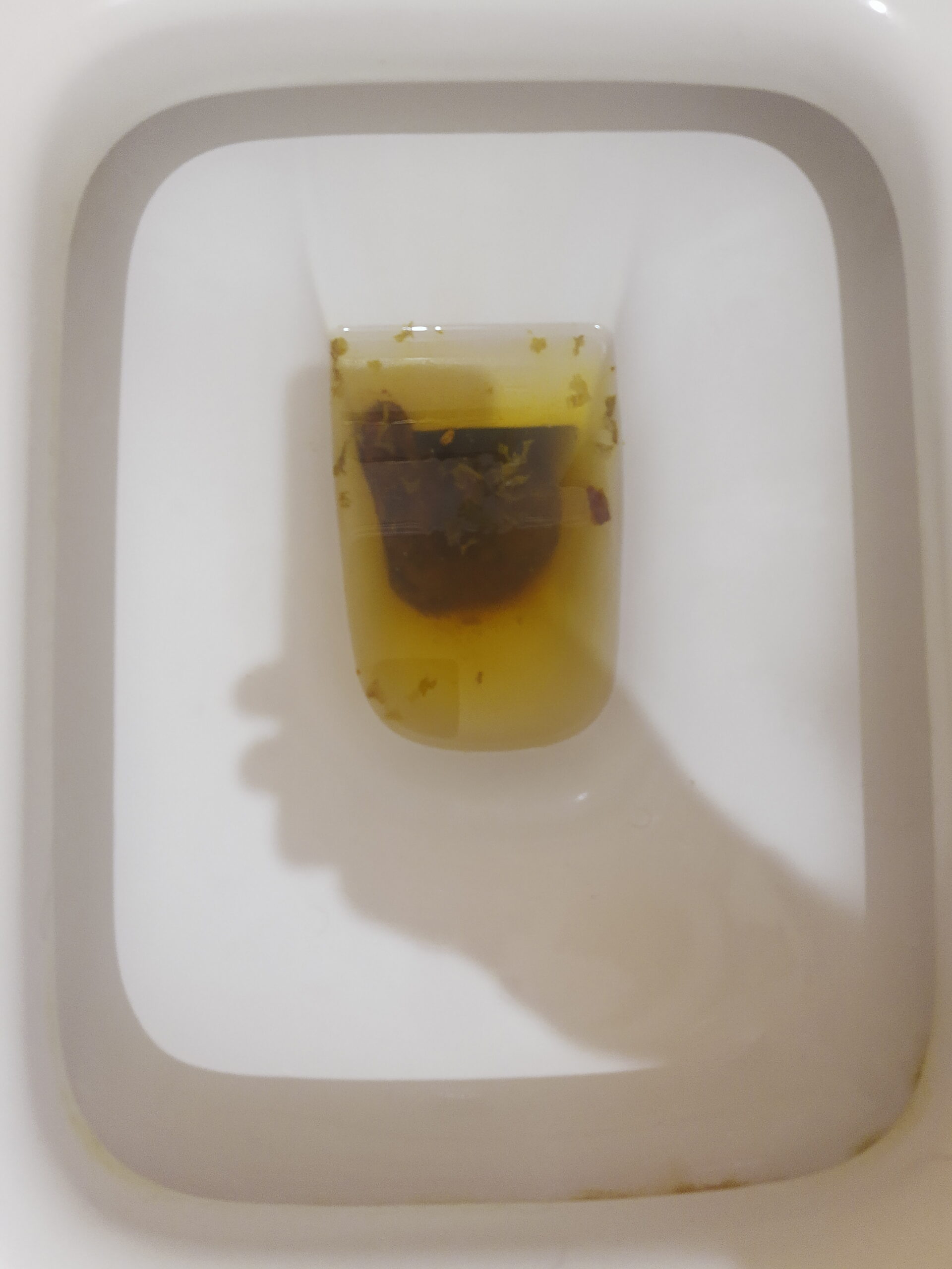 2022-04-14  Bristol 4, Urine and Veggies!