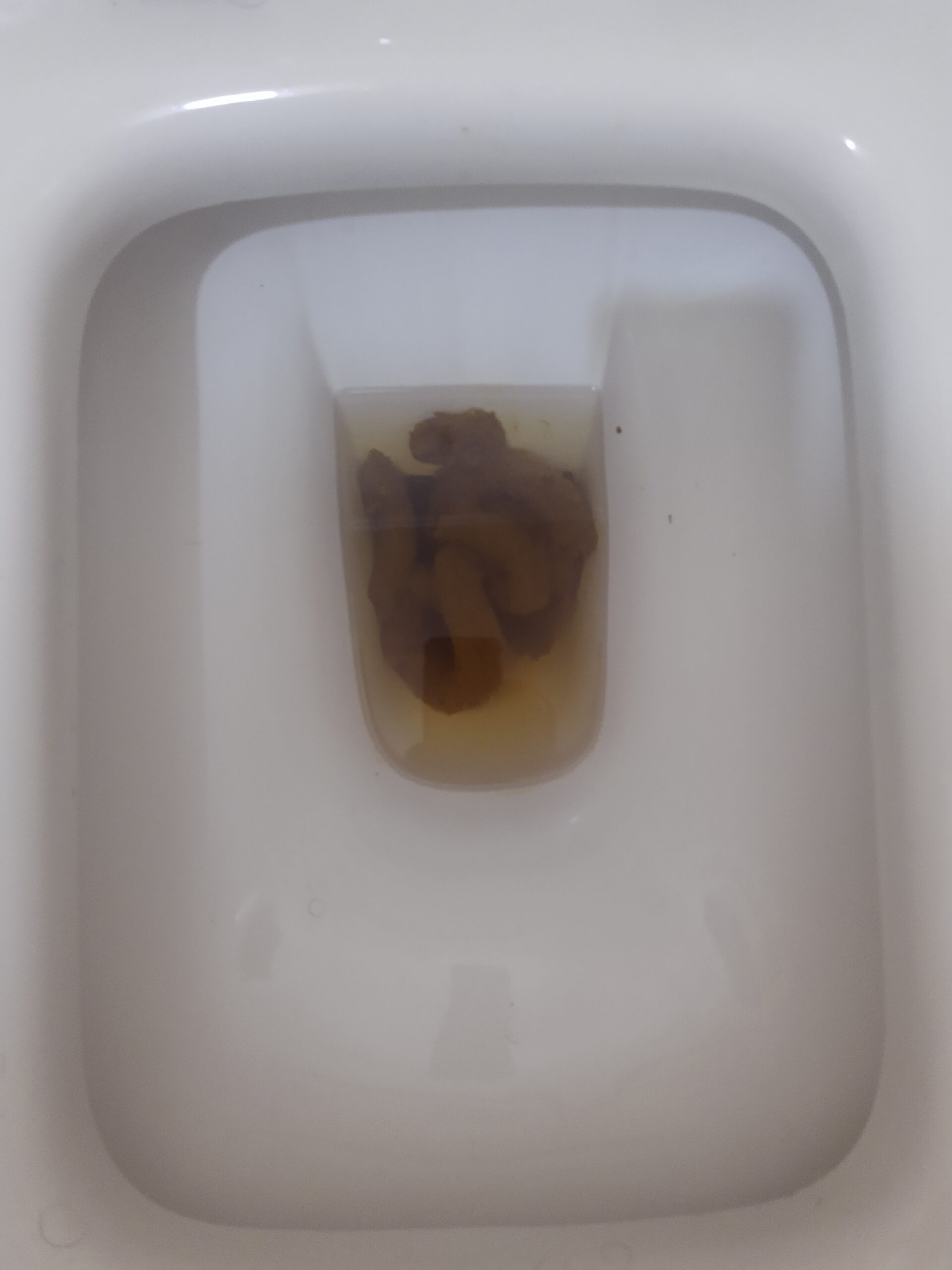 2022-04-15 | A Coil Bristol 4!