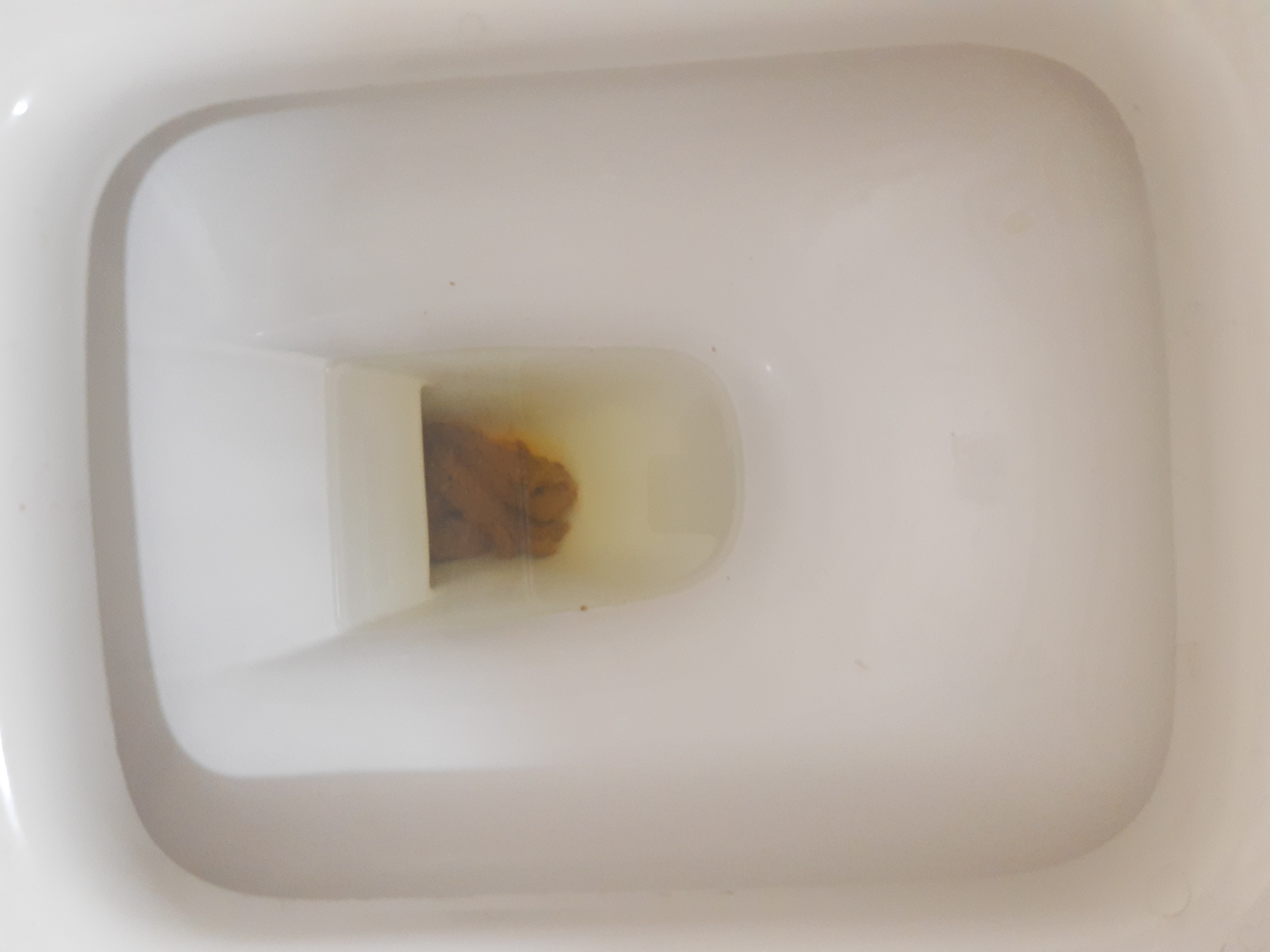 2022-04-17 | 2-Pack Day with a Super-Bristol 4!!!