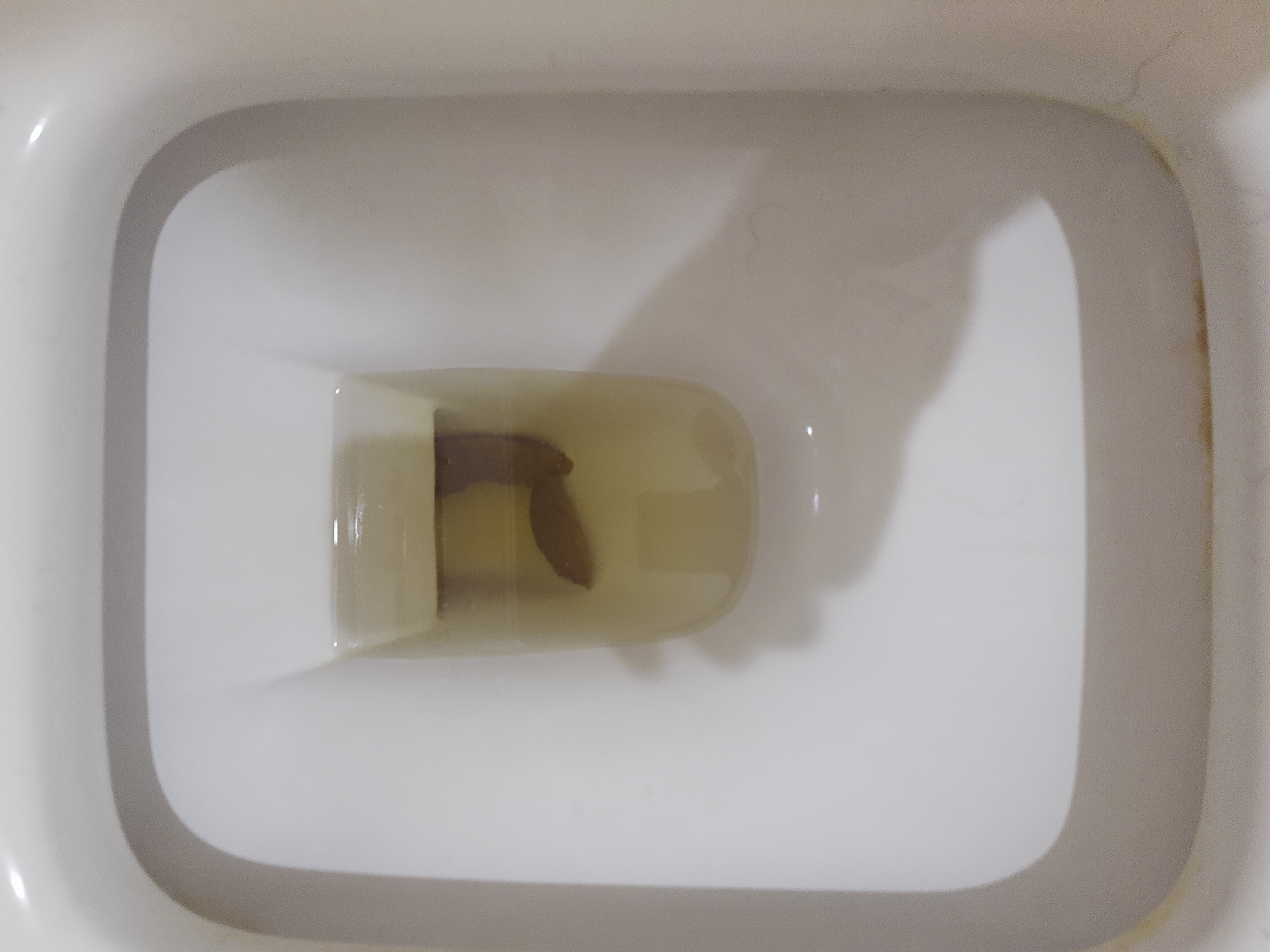 2022-04-18 | Double Feature!