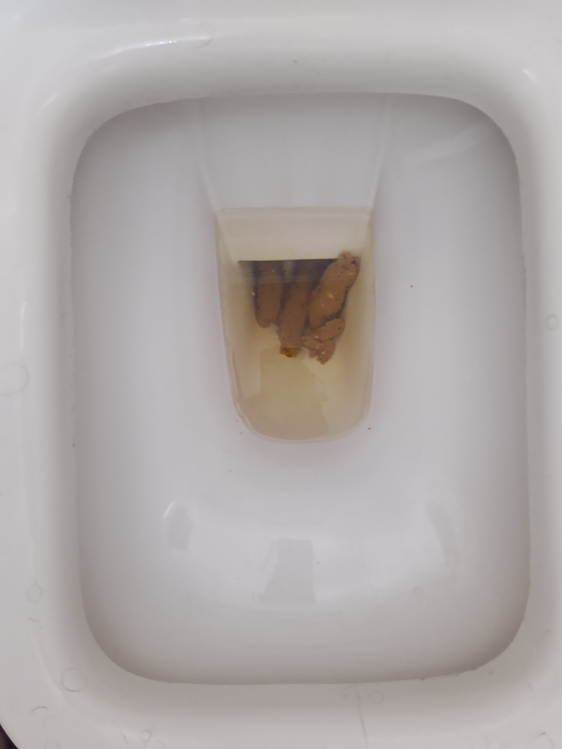 Bristol 4 Triplets and some more!