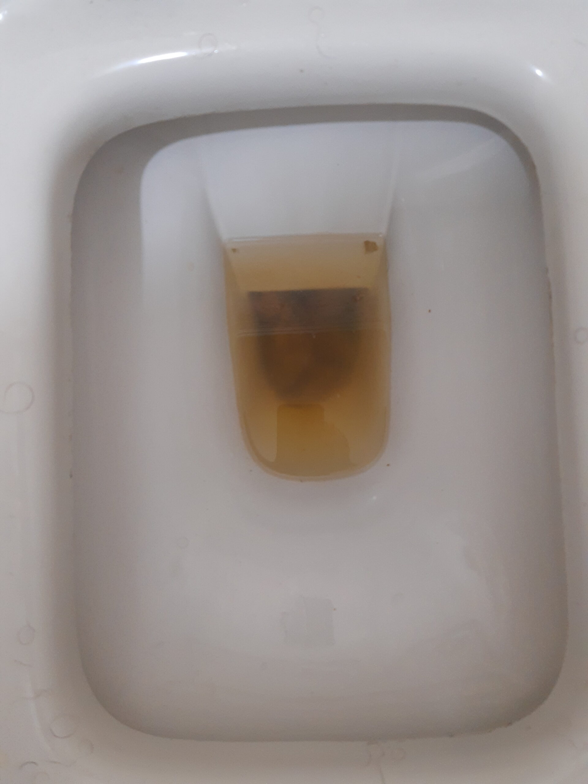 Something comes from the deep!