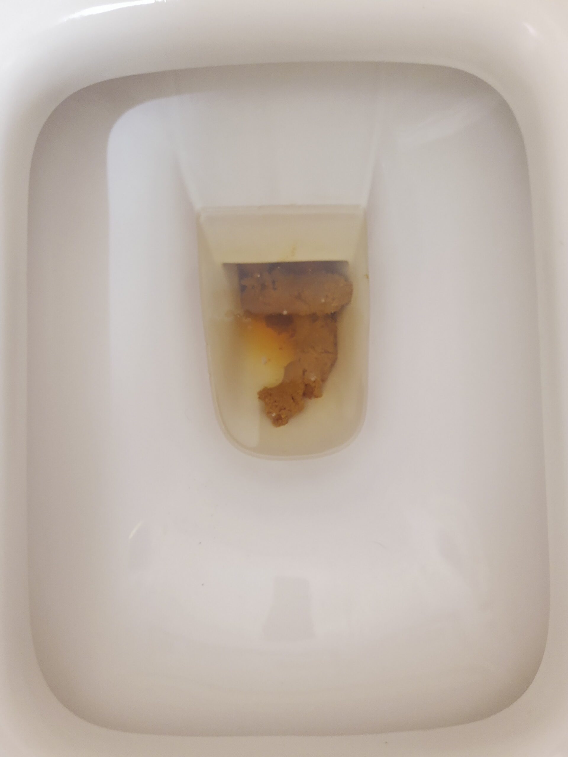 2022-04-28 | 2 Colors of Bristol 3!