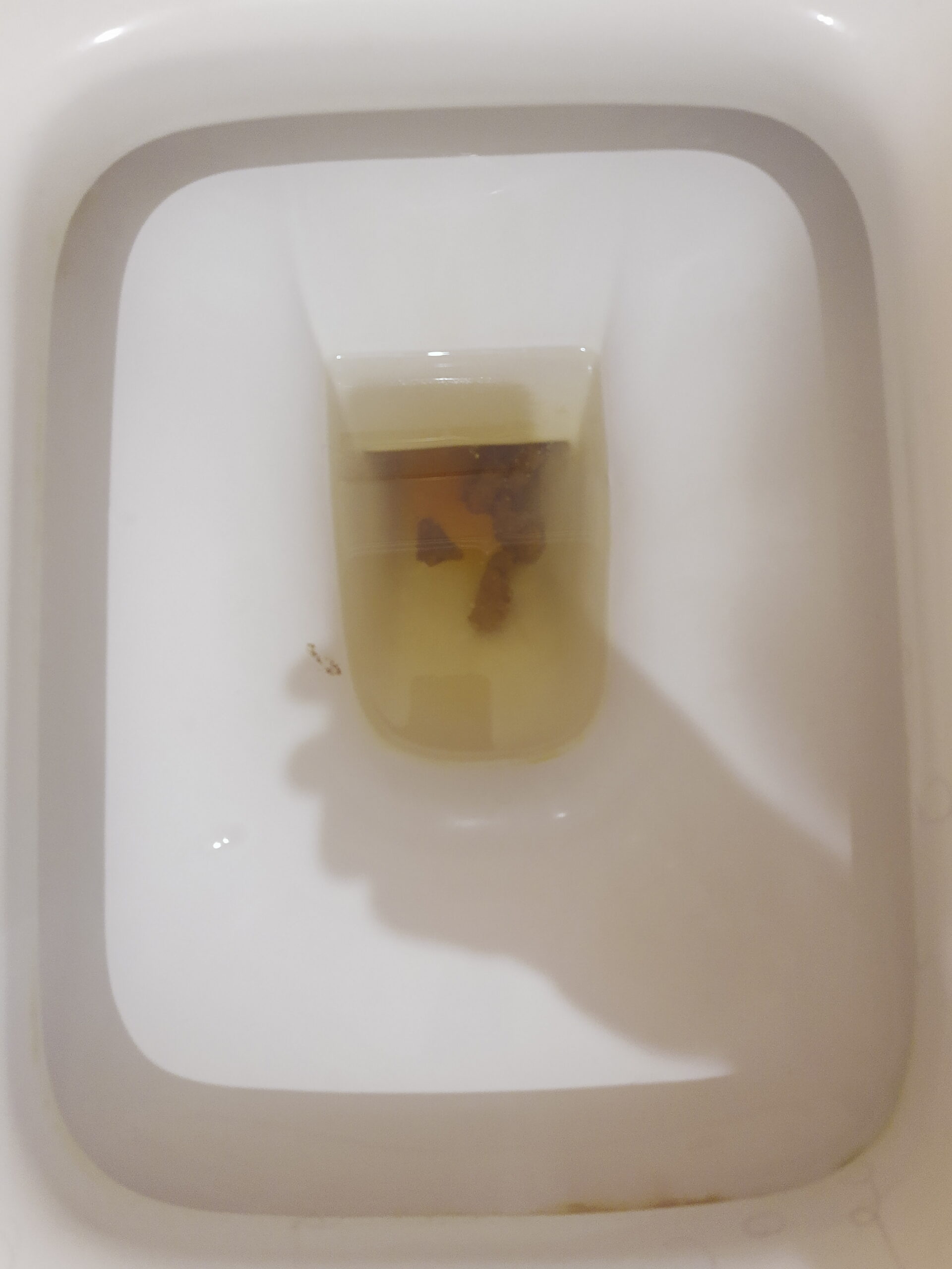 So little… so shy!