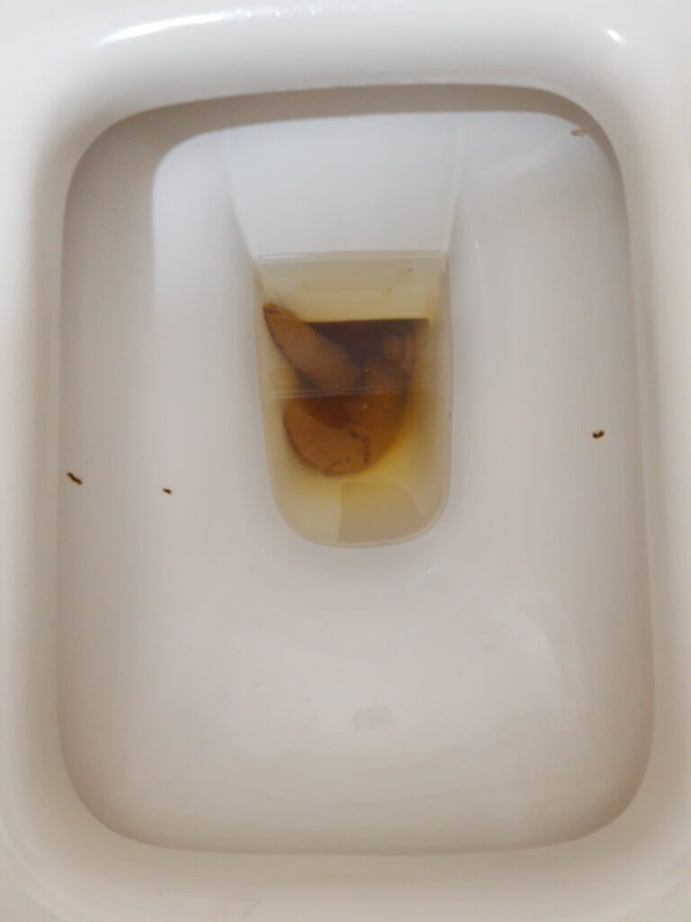 Twin Bristol 4 Spears!