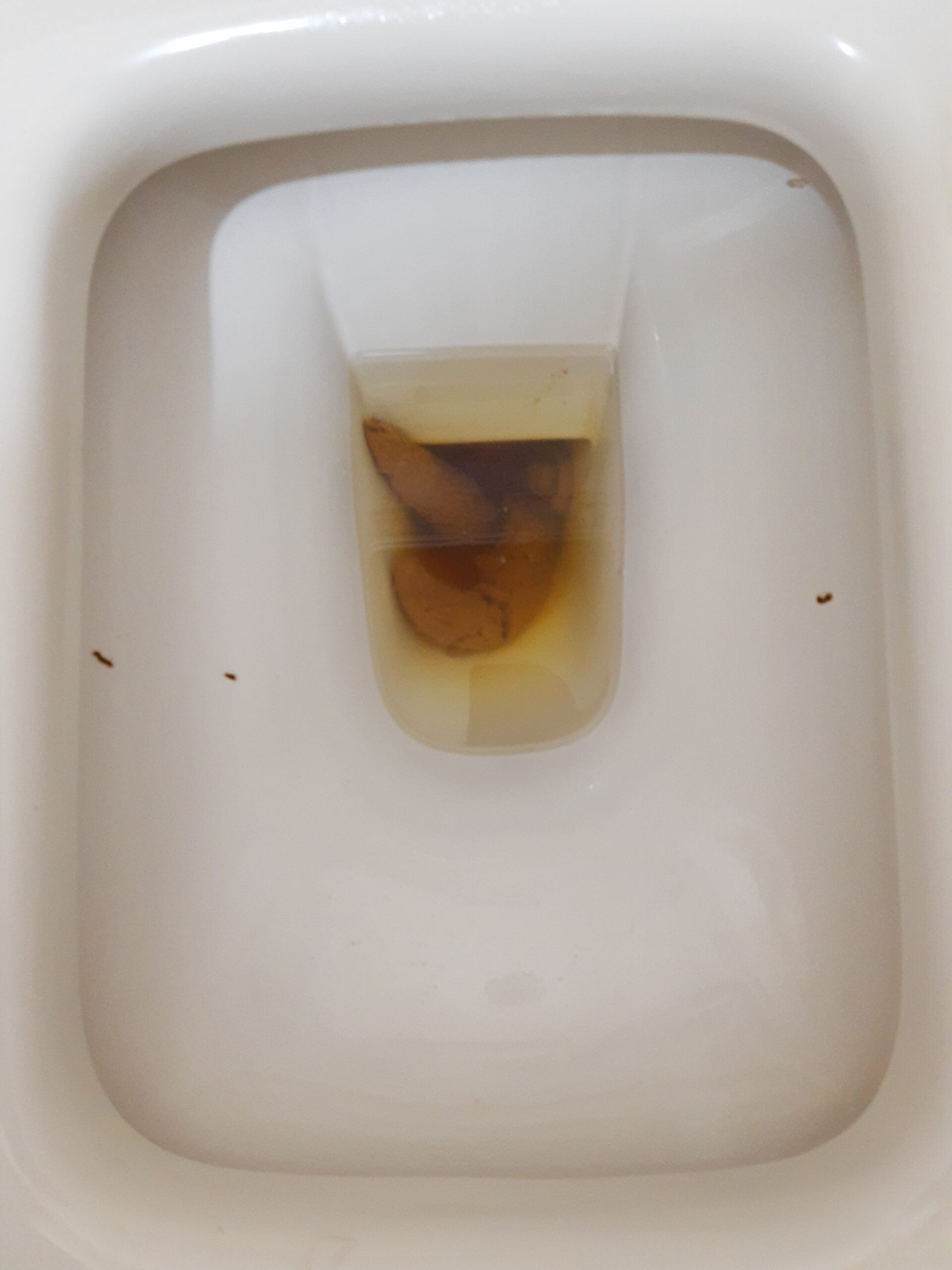 The Spear Trifecta!!! A one-of-a-kind spectacle!