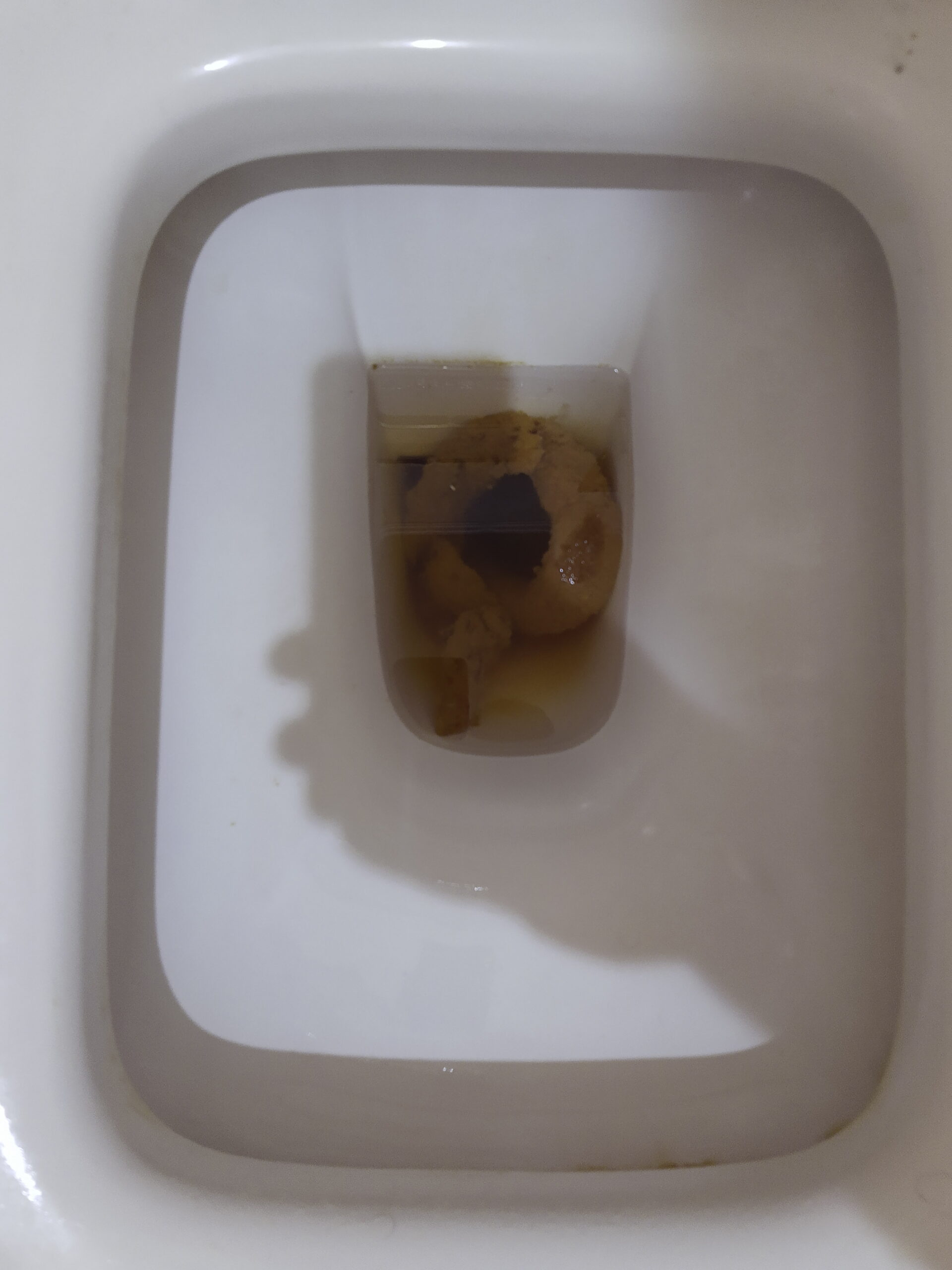 The Dark Ouroboros of Bristol 4!