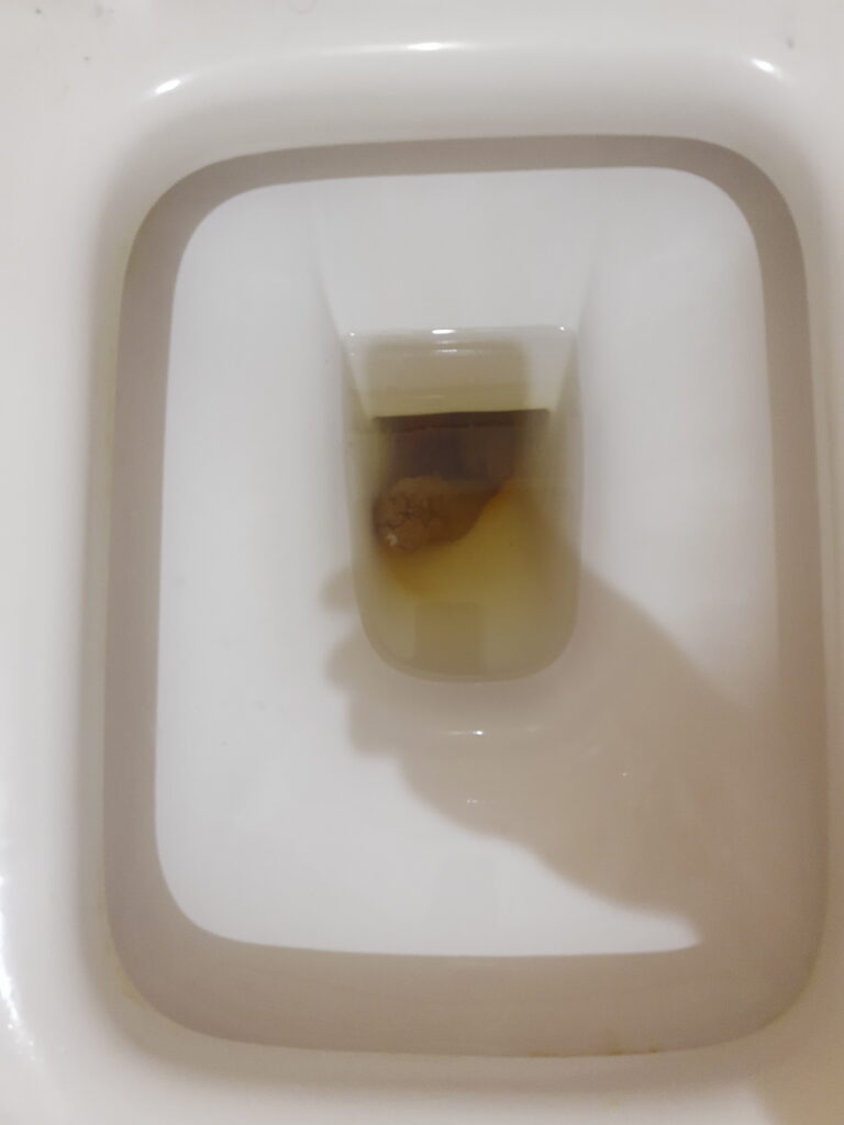 classic bristol 4 example