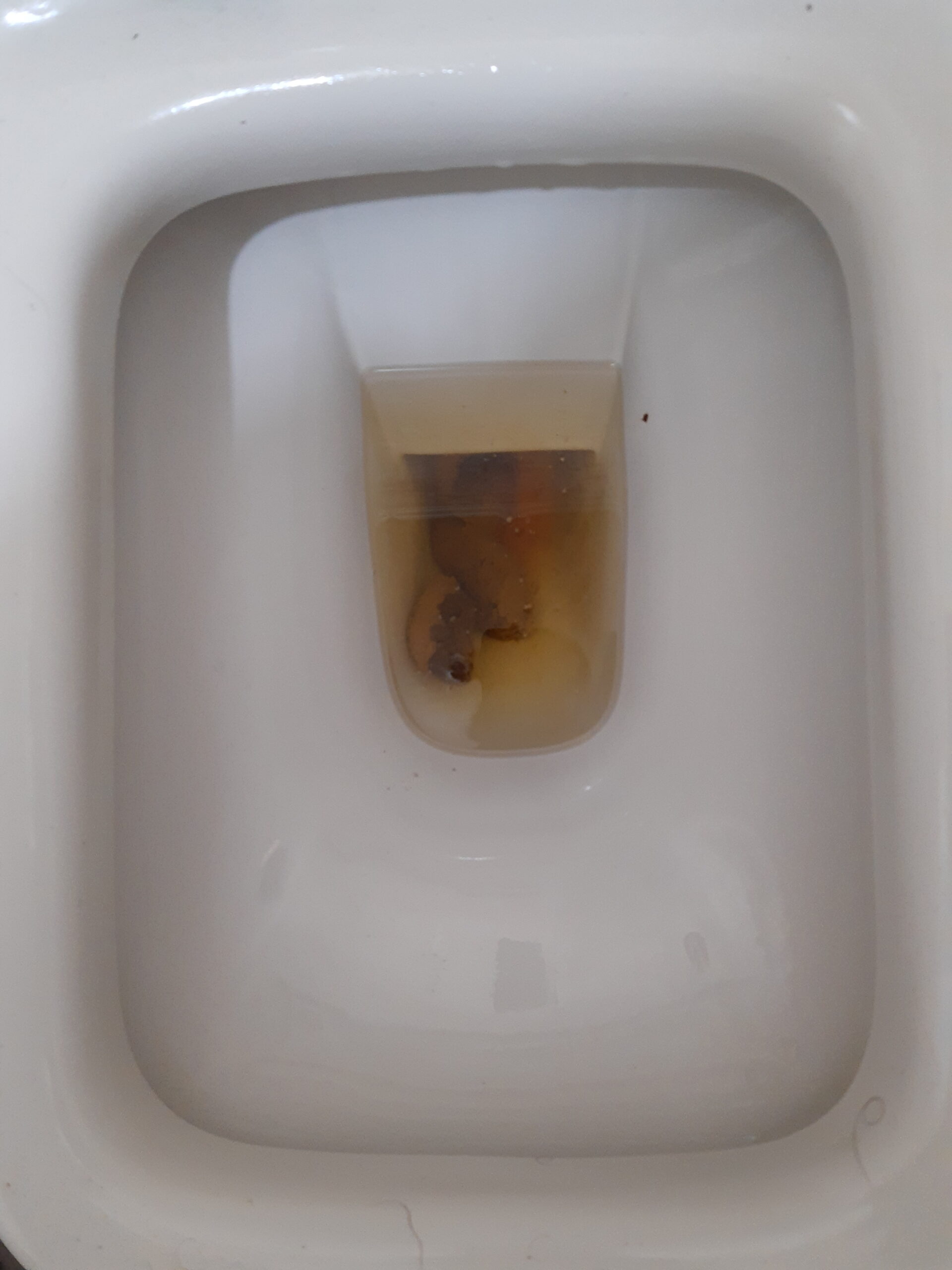 A Dual Color Bristol 4?