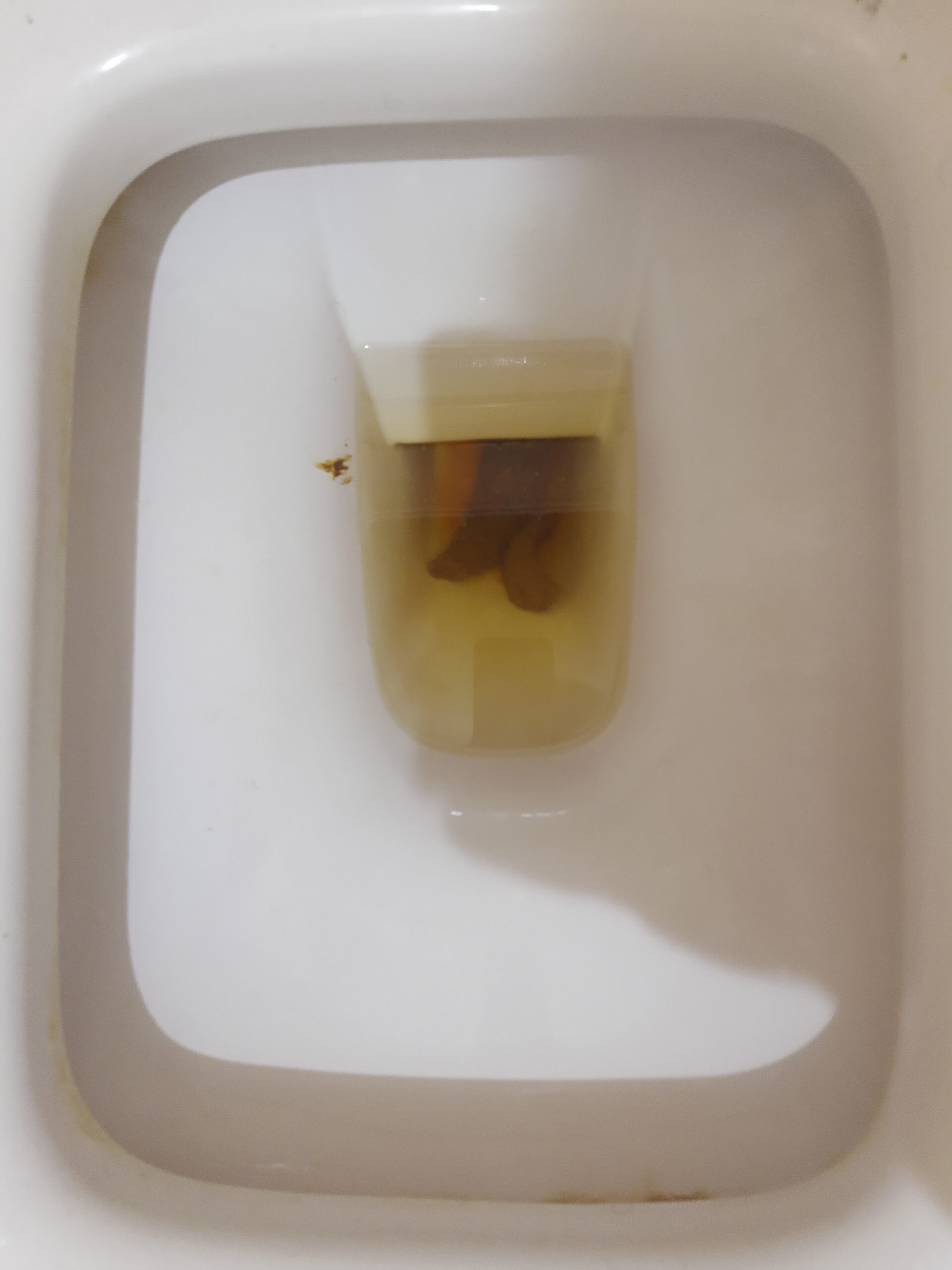 The Bristol 4 from the deep!