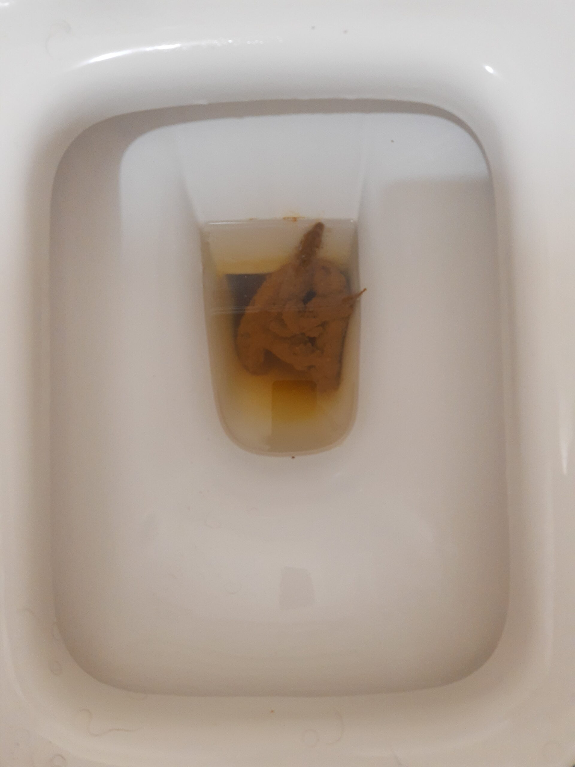 2022-06-06 | What a mess!