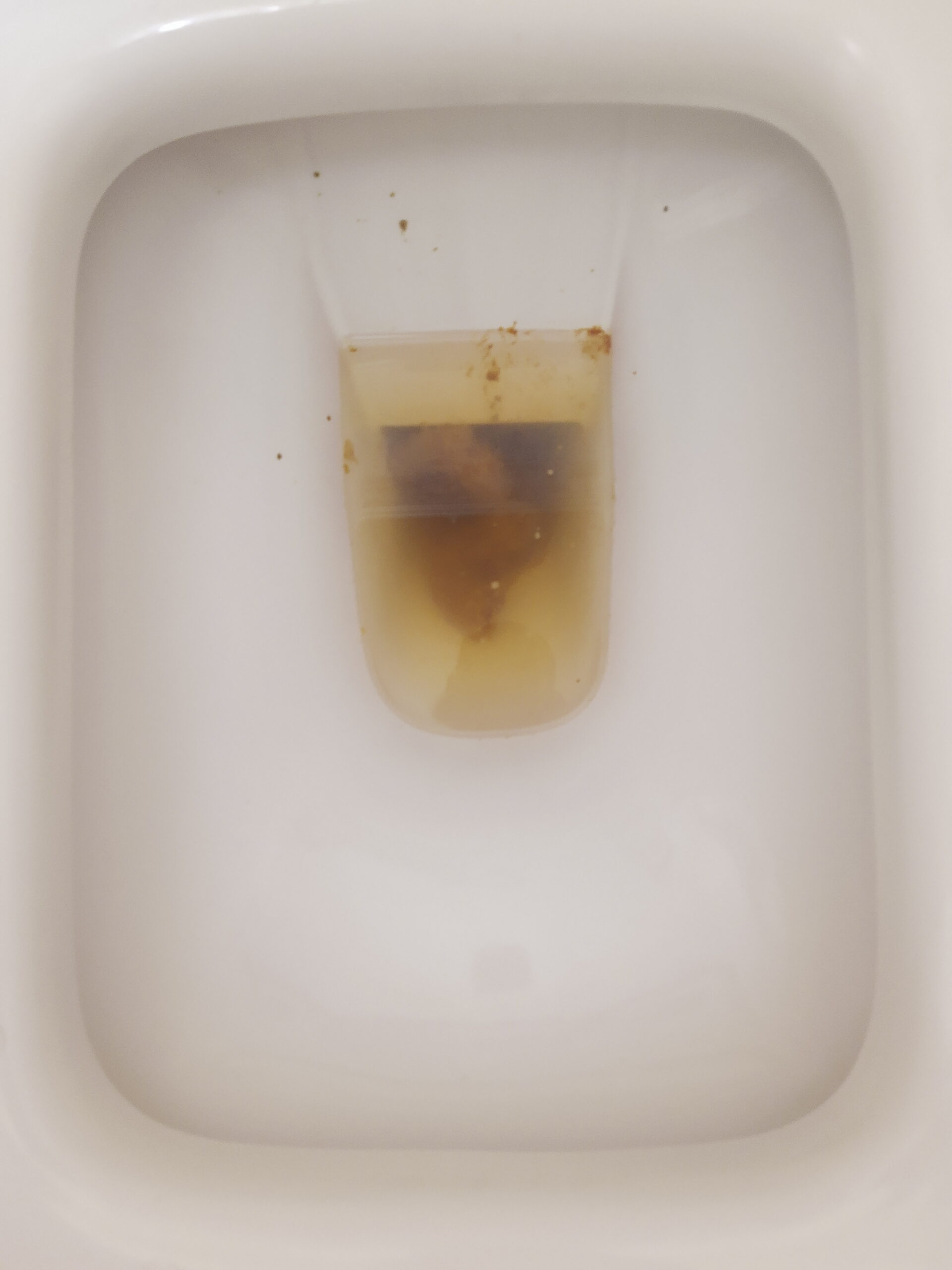 The Bristol 6 Swamp!