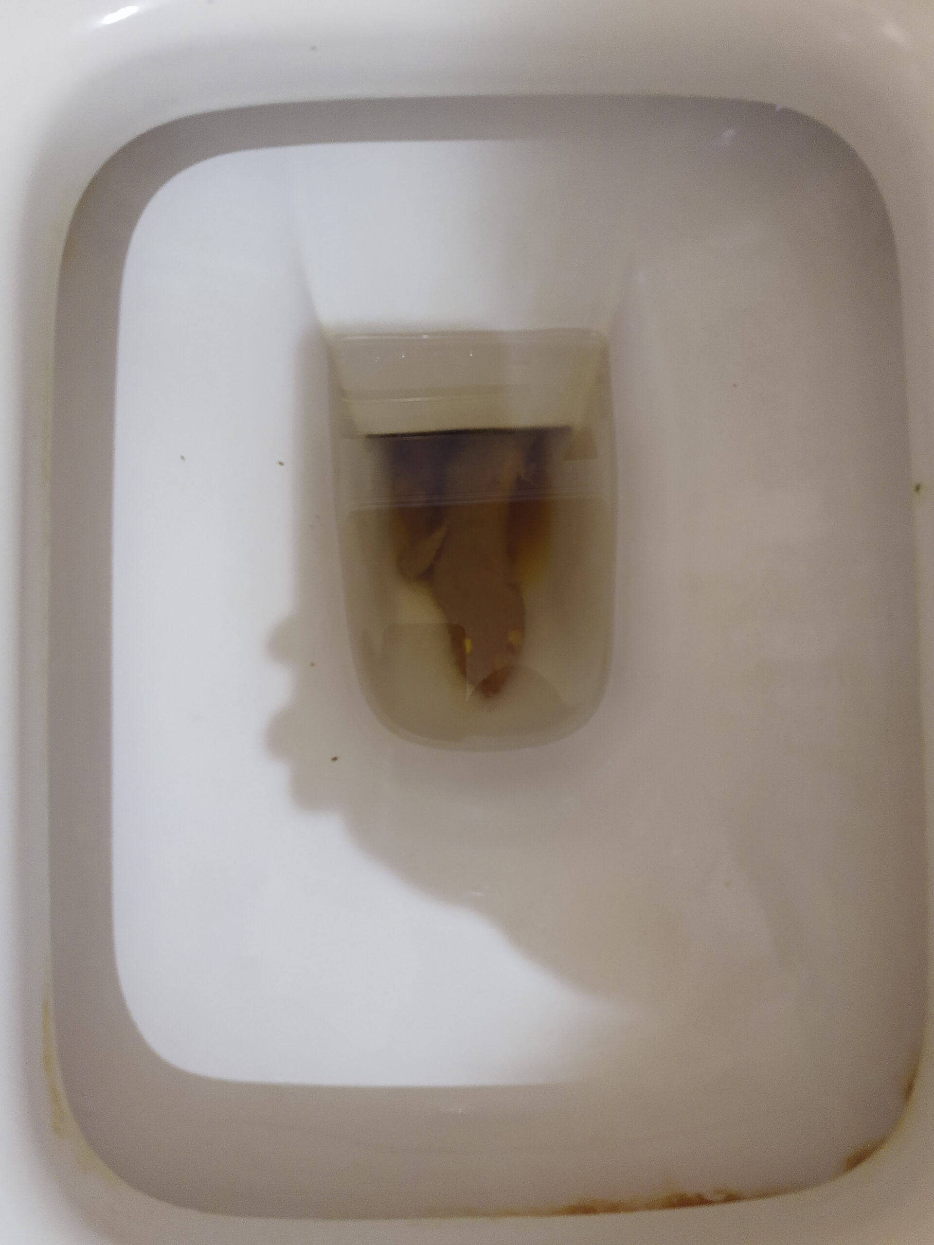 Double the Poo, Double the Fun!