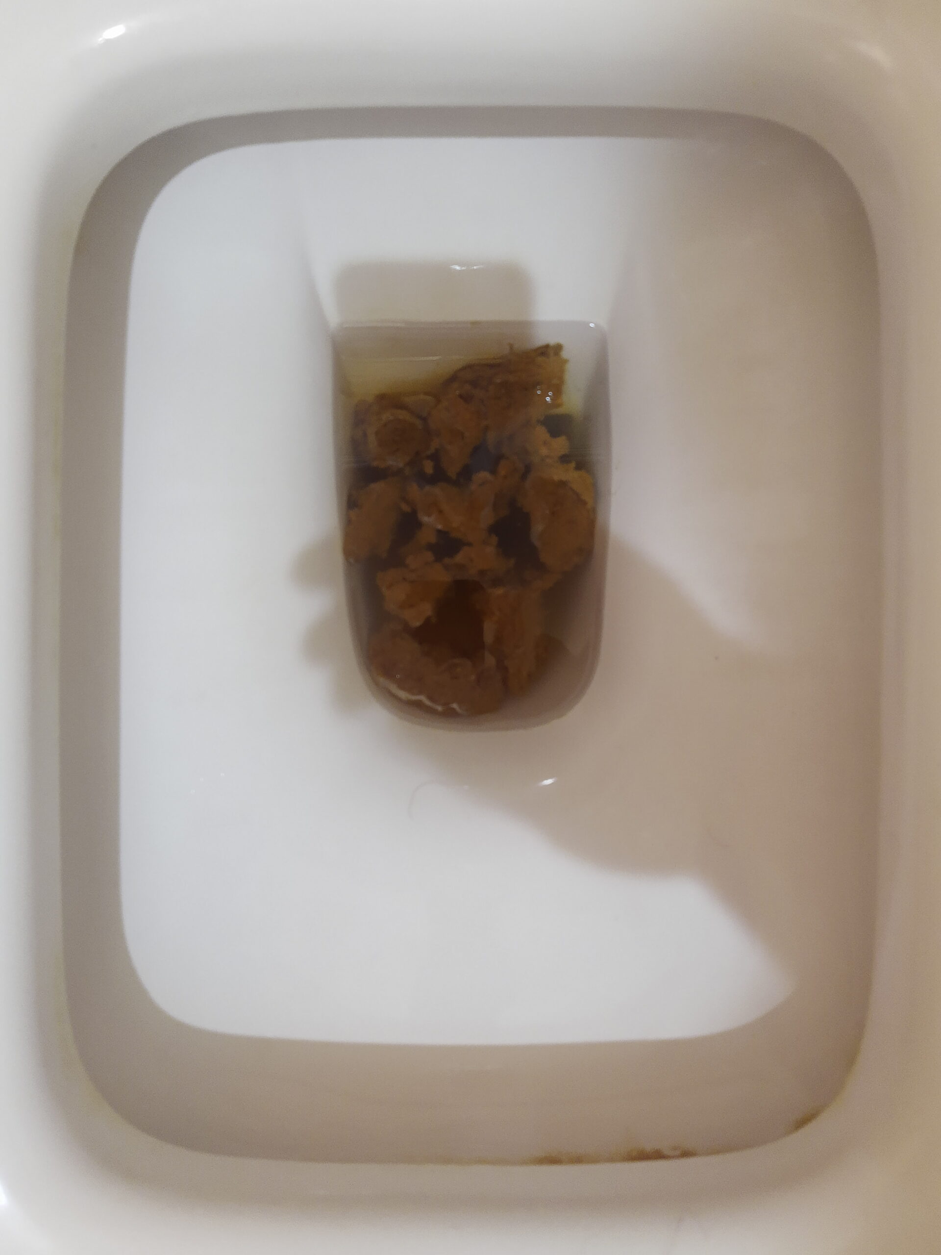 The Famous Bristol 5 Archipelago!