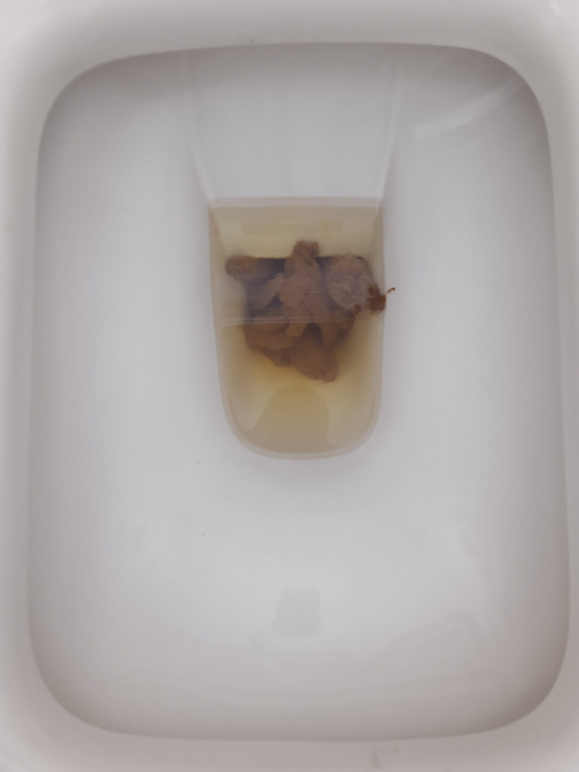 2022-08-16 | A Bristol 5 Poo Pool!