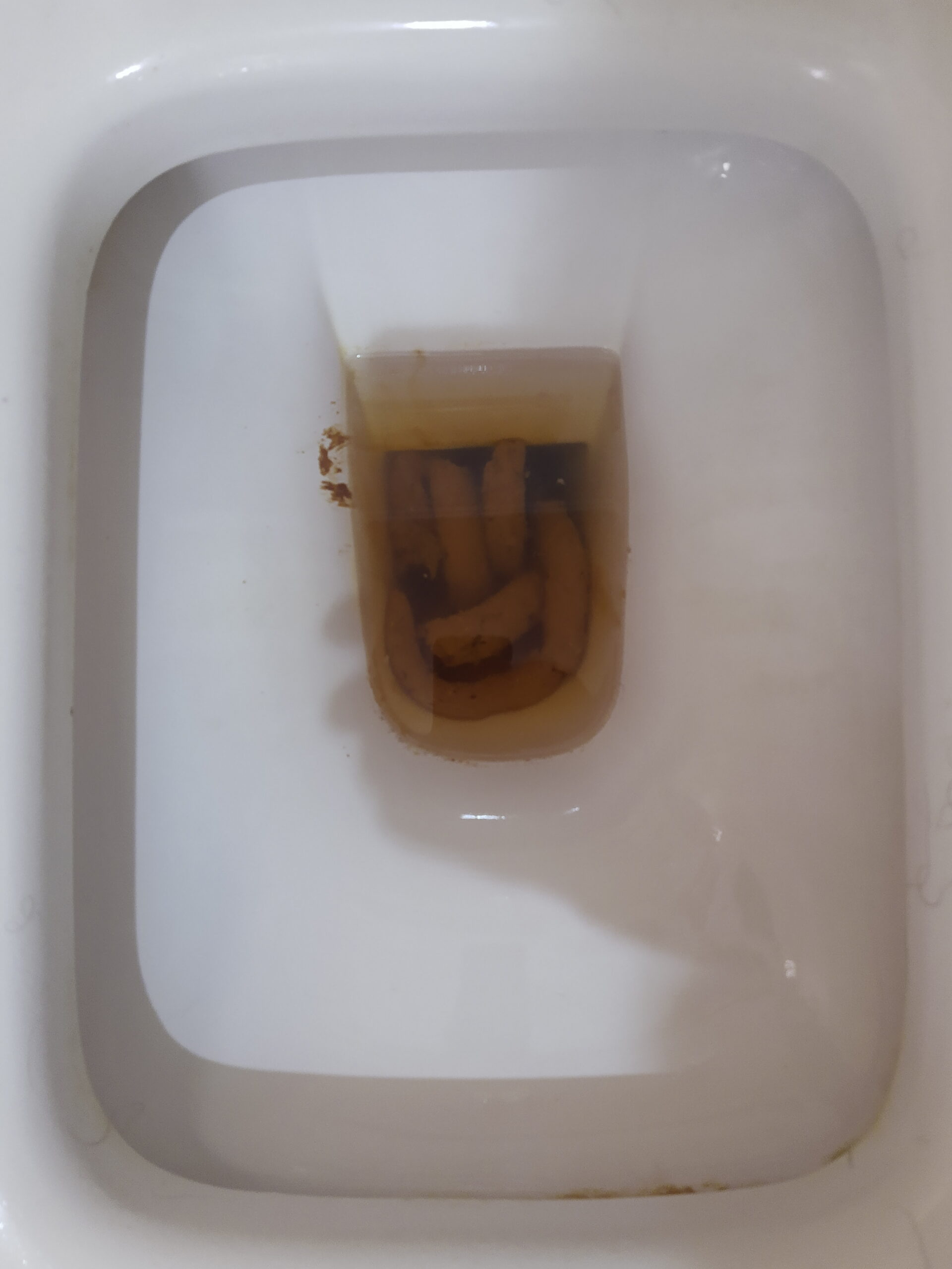 A Bristol 4 Sausage Party