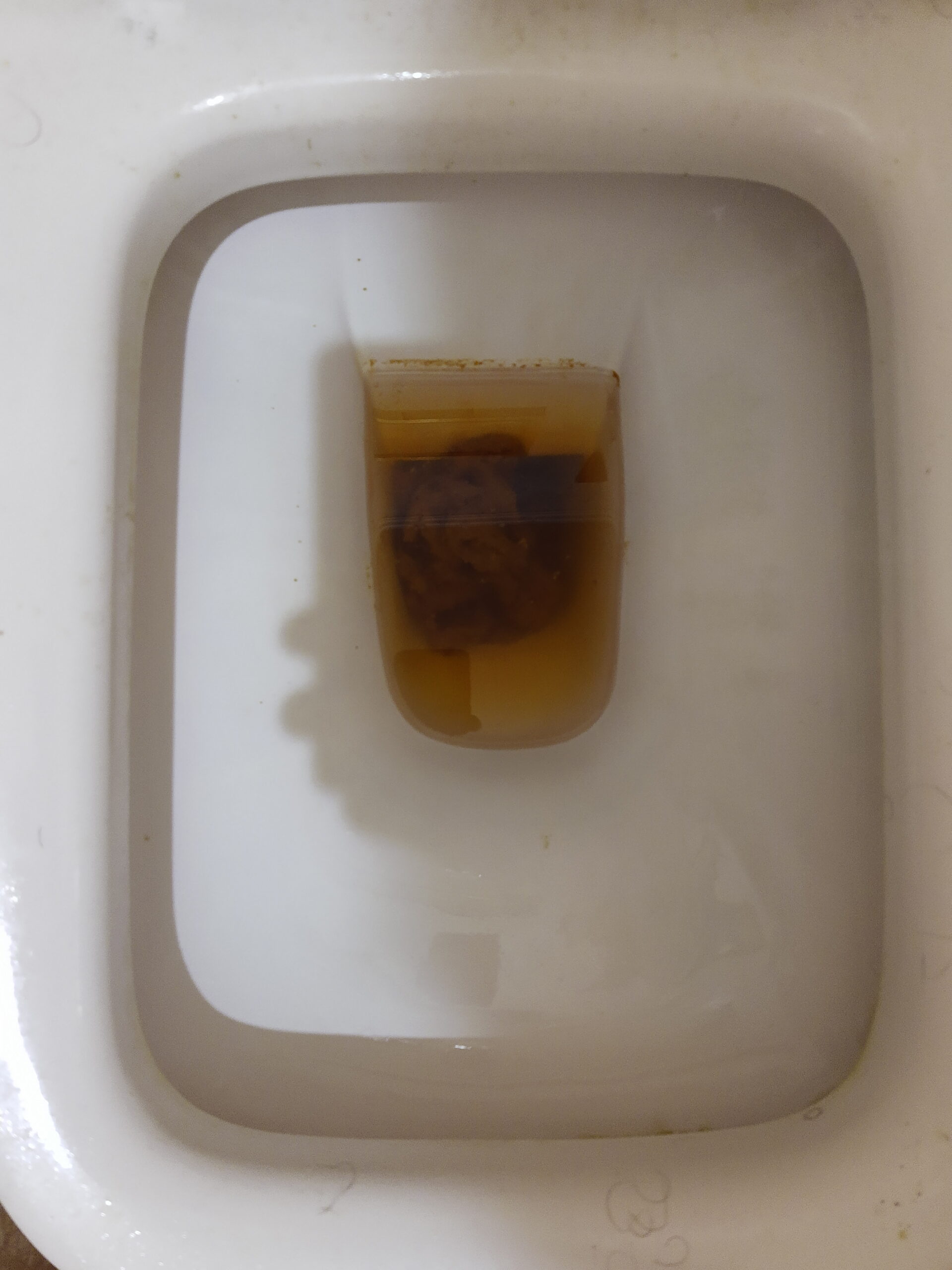 2022-09-15 | A Bristol 6! :(