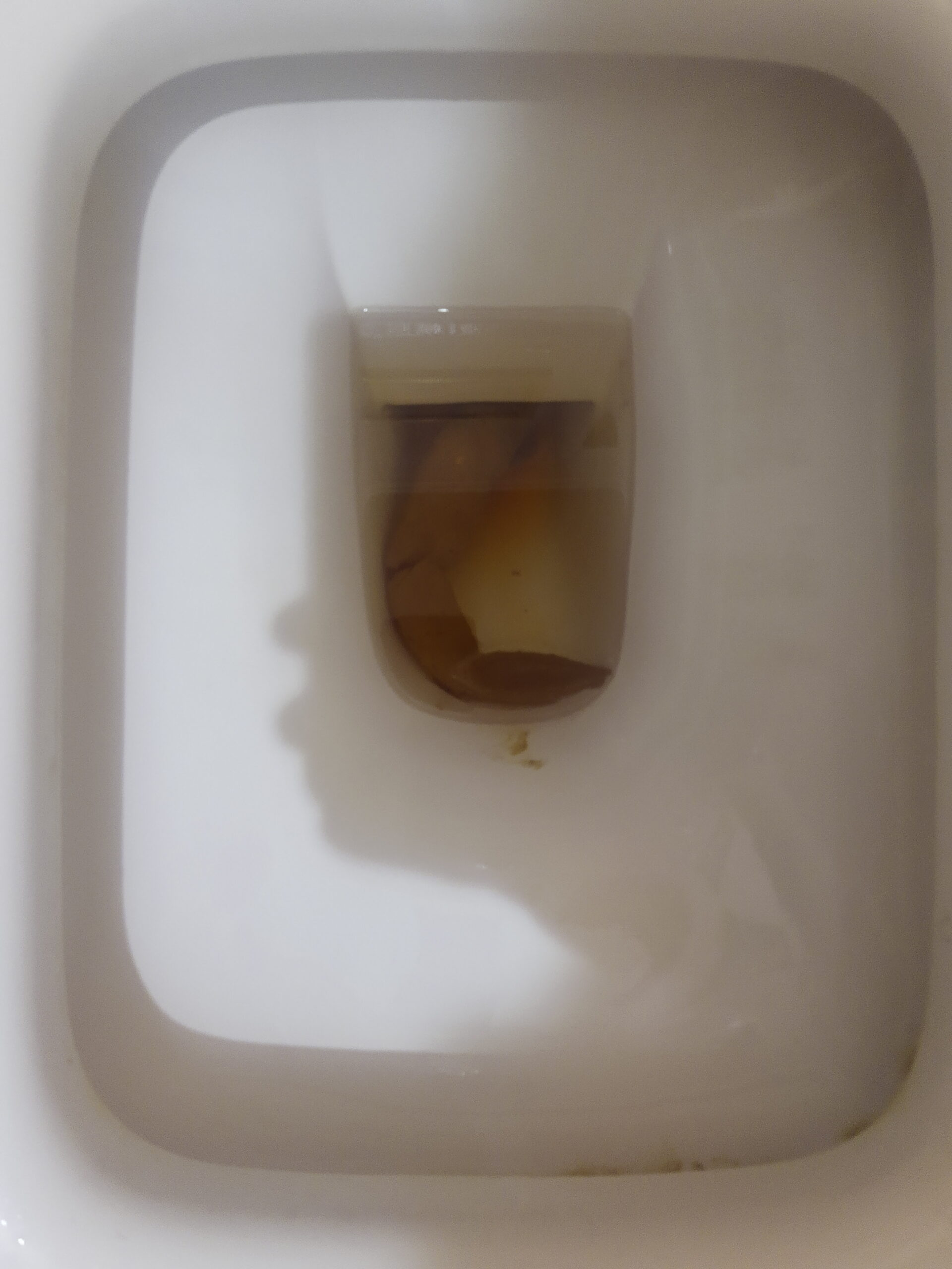 2022-10-01 | Captain Hook on the Deck!