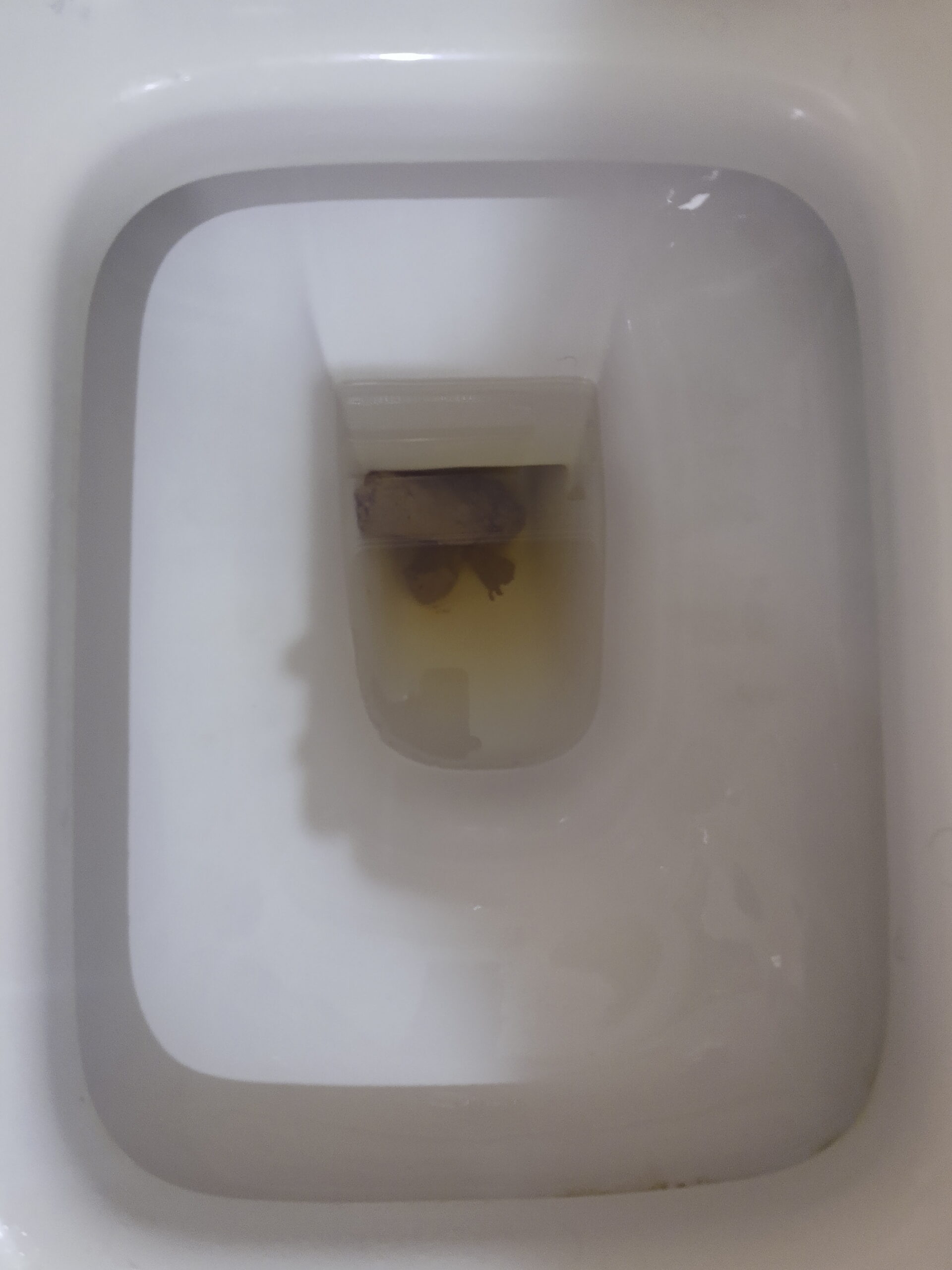 2022-10-02 | It looks like a what?