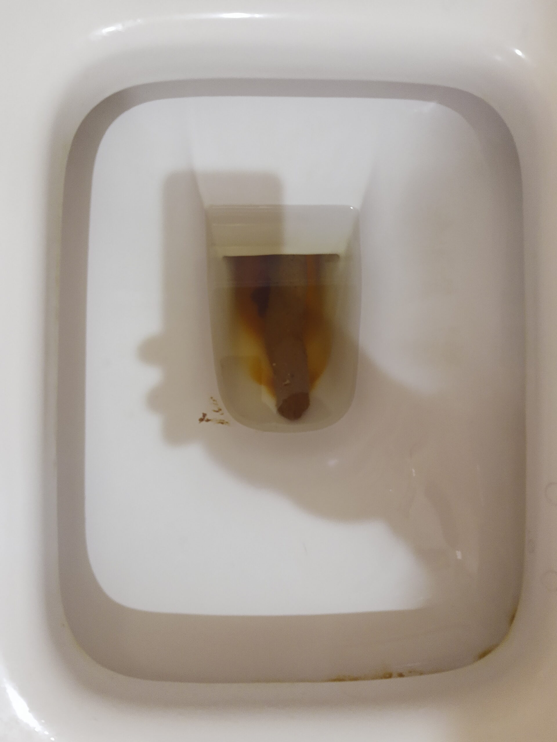 2022-10-03 | One for the history books! This one is The Shit!