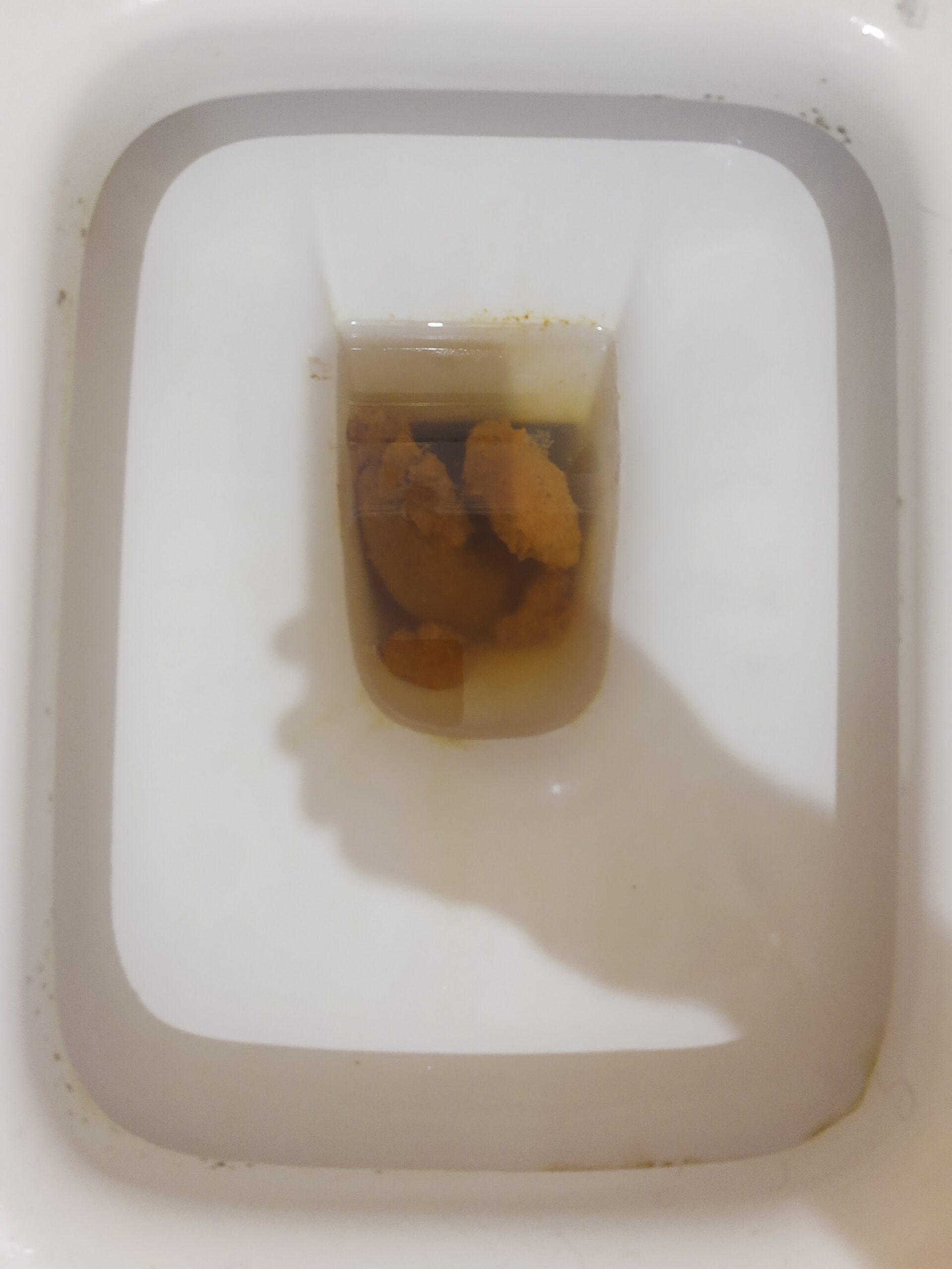 2022-10-22 | Some variety today!