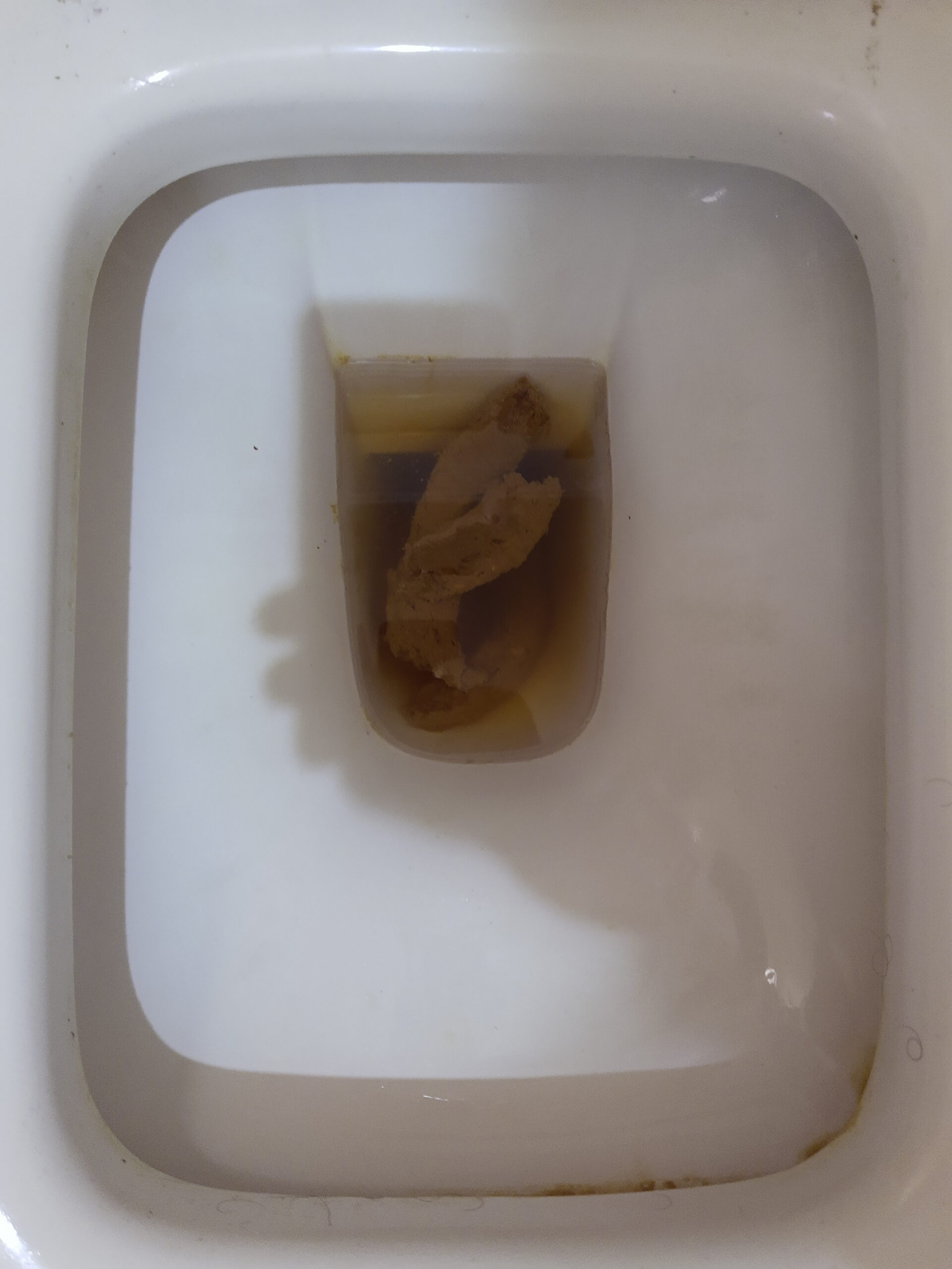 2022-11-15 | That’s a shitty dance!